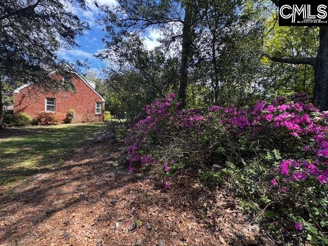 6657 Augusta Highway Leesville, SC 29070