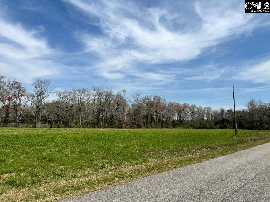 Pleasant Grove Road Loris, SC 29569-6524