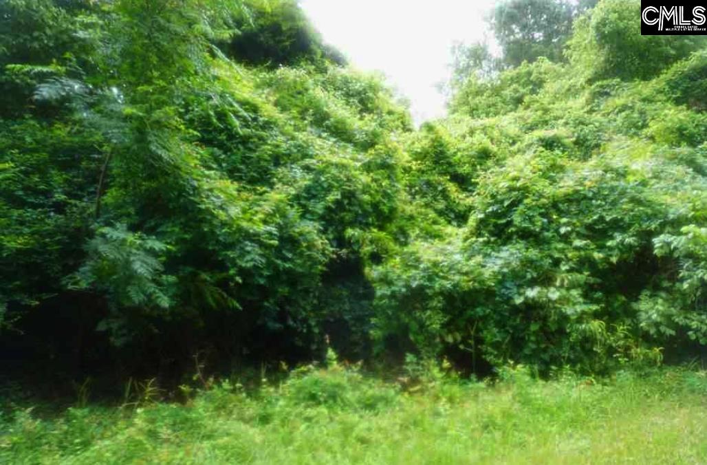 Fringetree Road Road