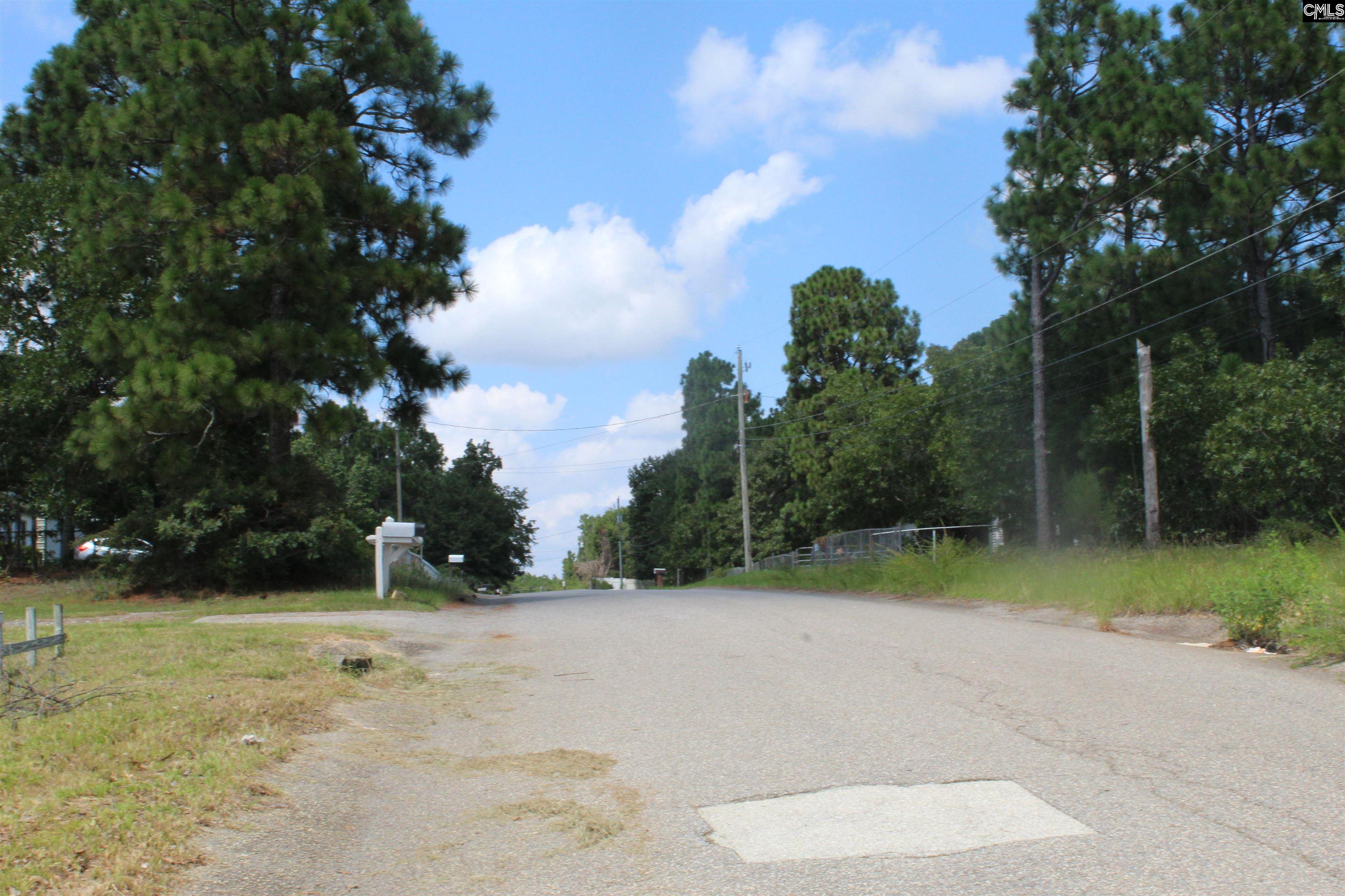 164 Dowd Drive Gaston, SC 29053