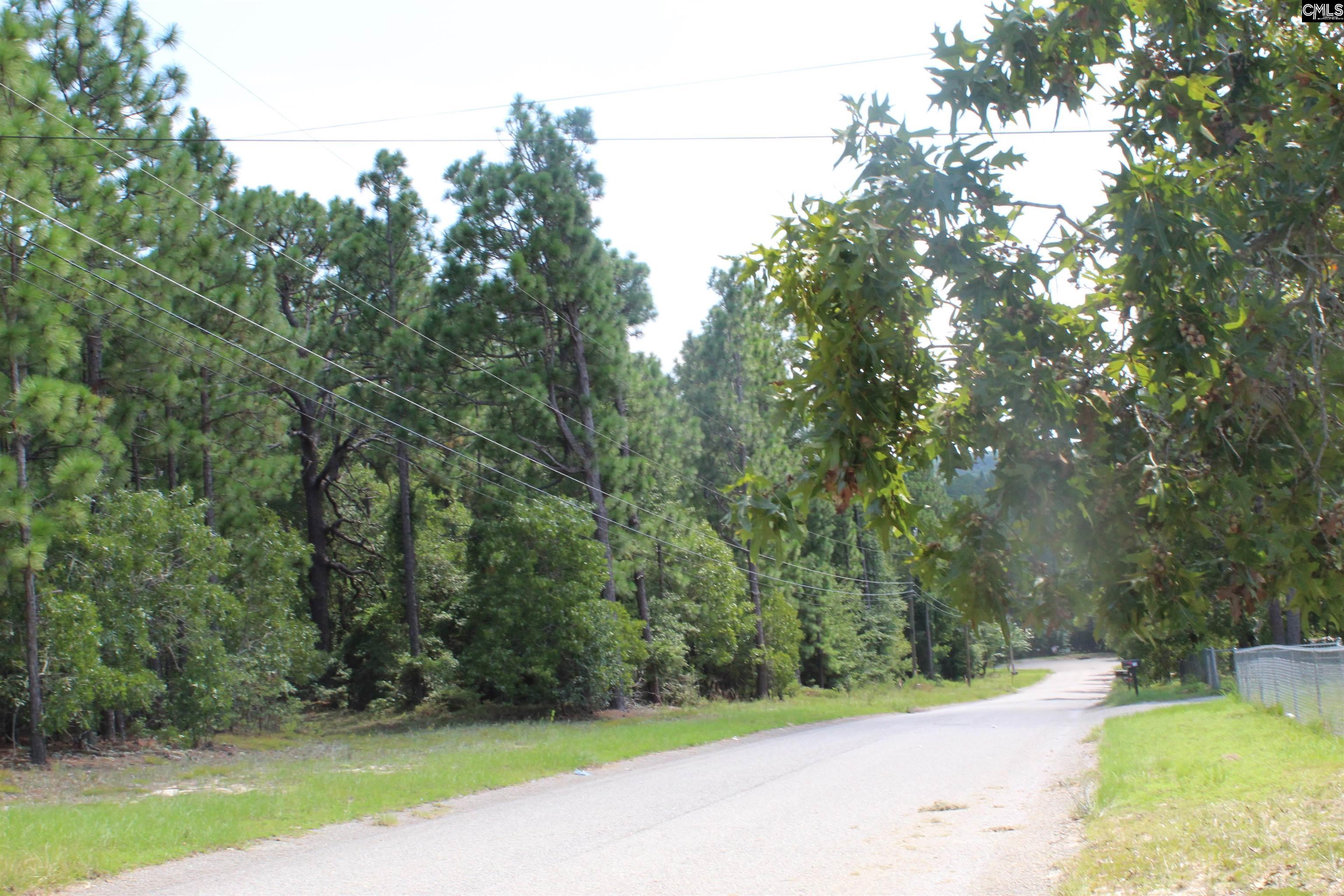 164 Dowd Drive Gaston, SC 29053