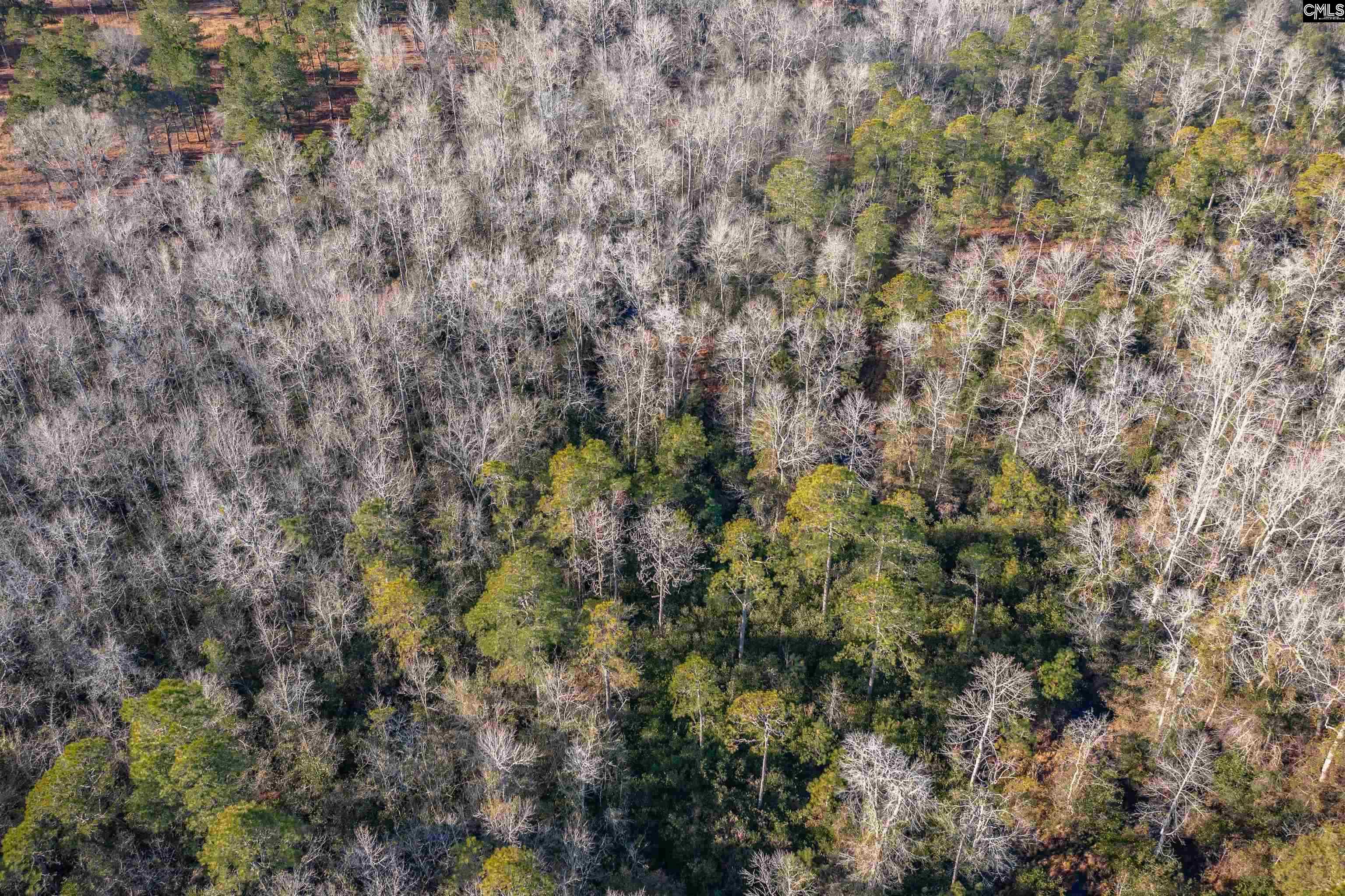 216 Hound Hollow Road UNIT #18 Camden, SC 29020