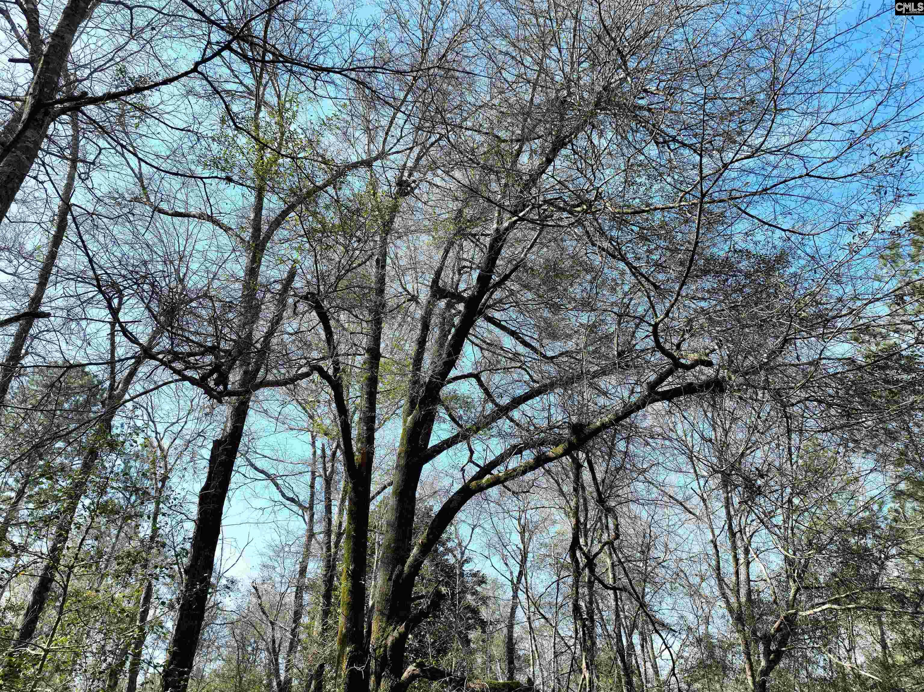 0000 Salley Road Salley, SC 29137