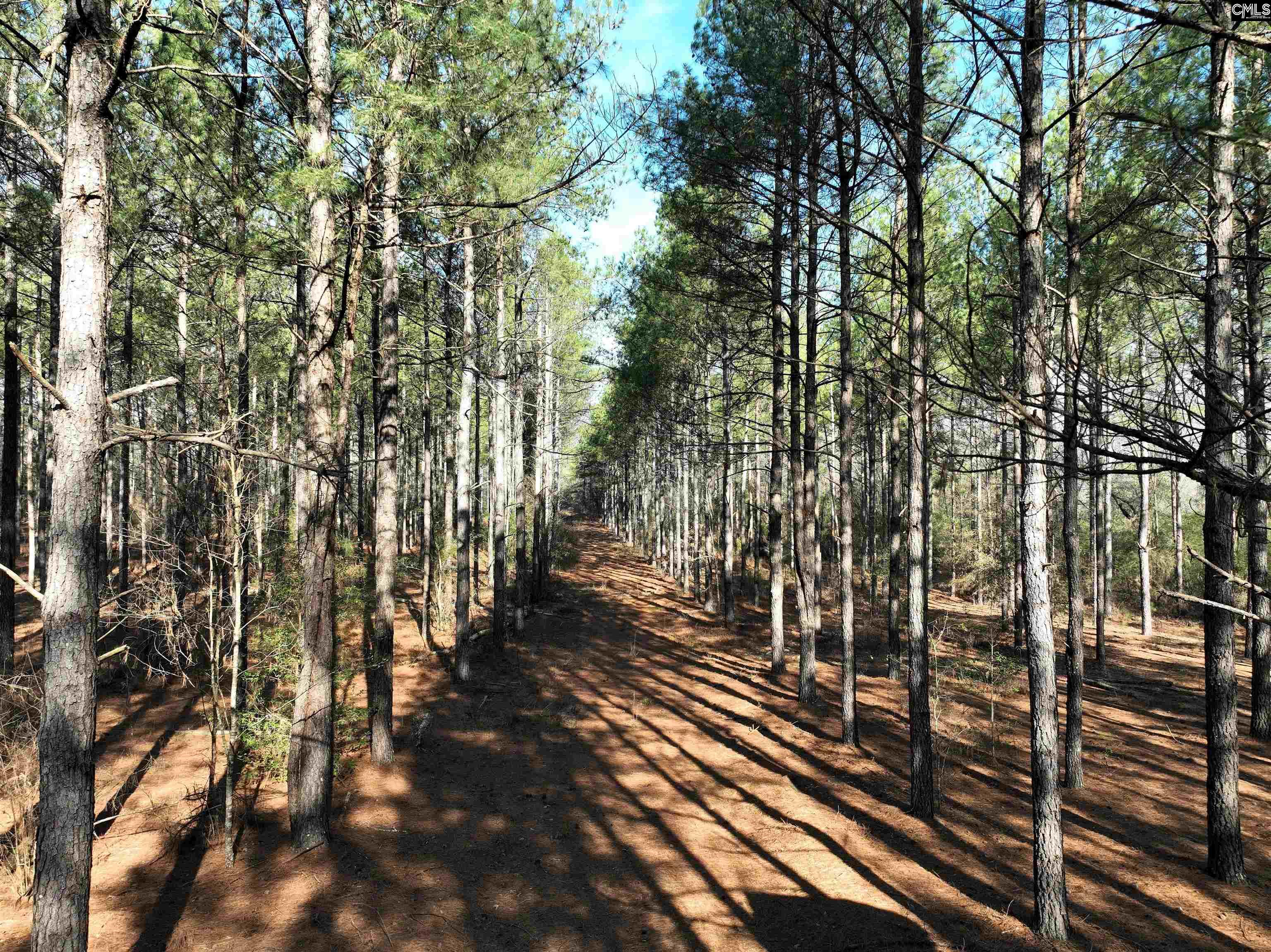 0000 Salley Road Salley, SC 29137