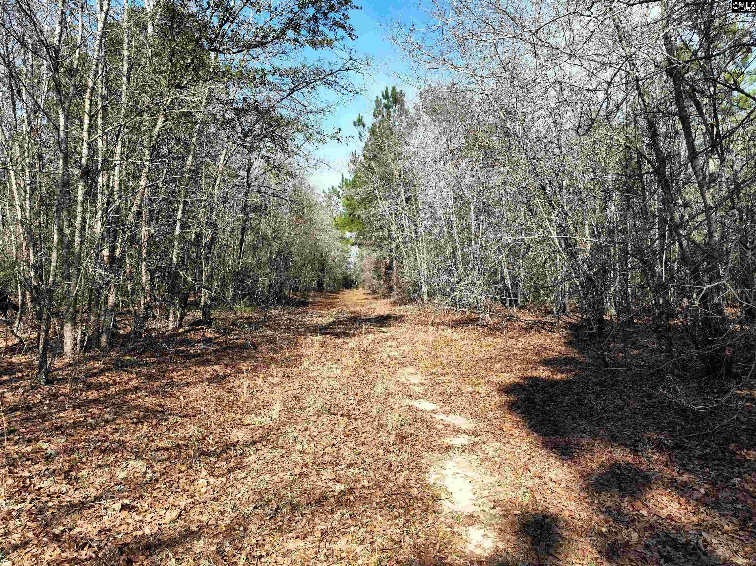 0000 Salley Road Salley, SC 29137