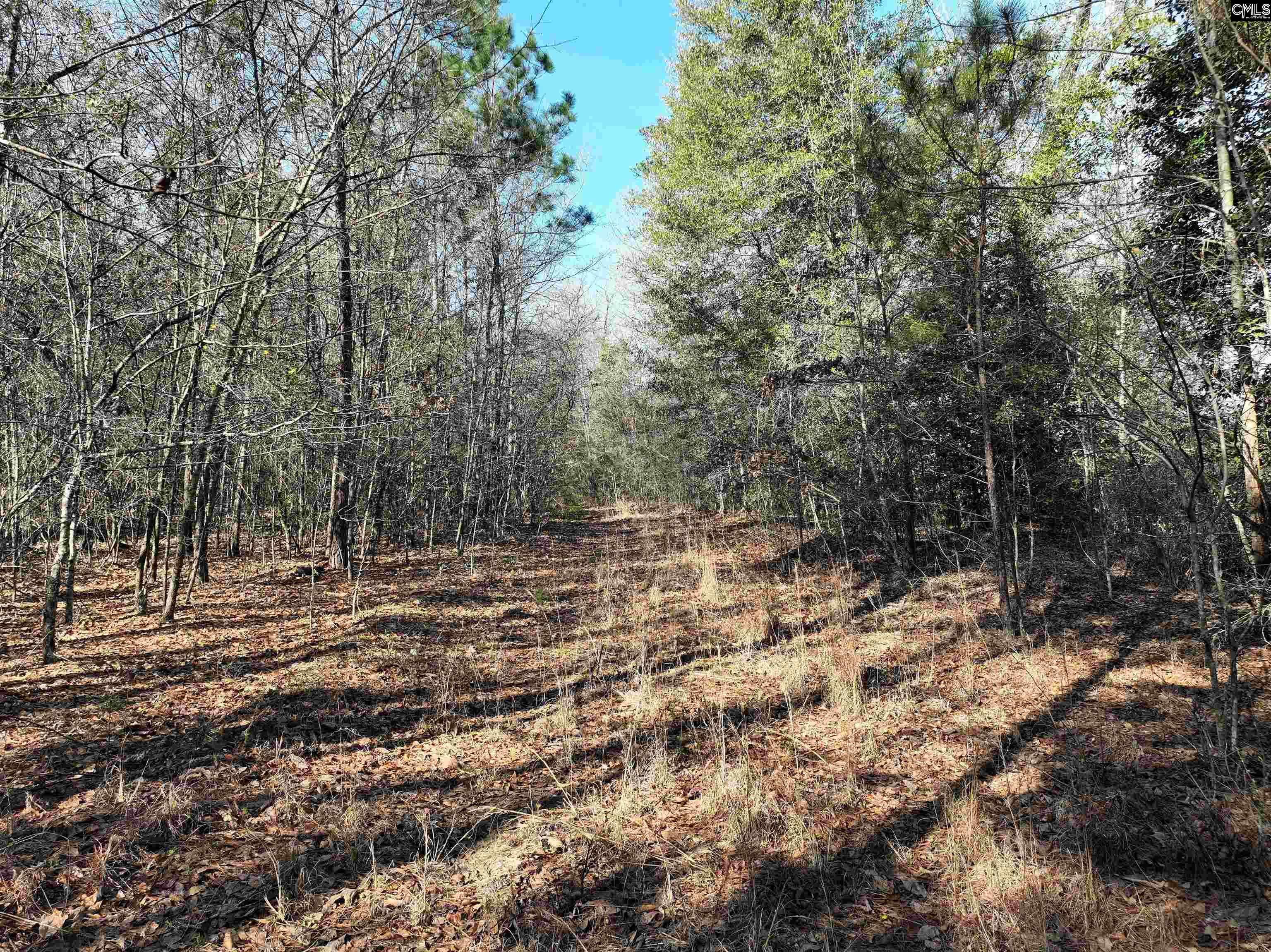 0000 Salley Road Salley, SC 29137