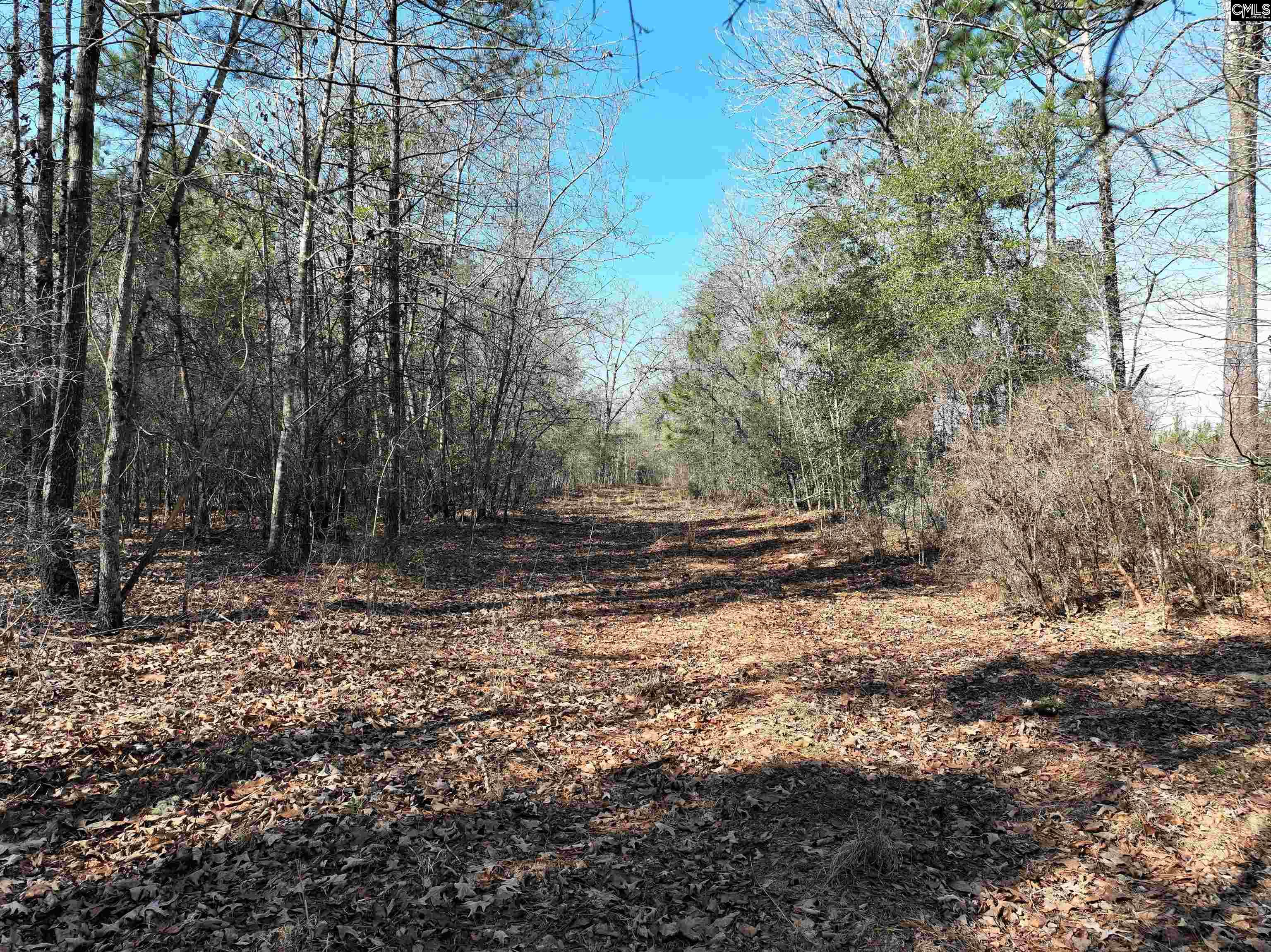 0000 Salley Road Salley, SC 29137