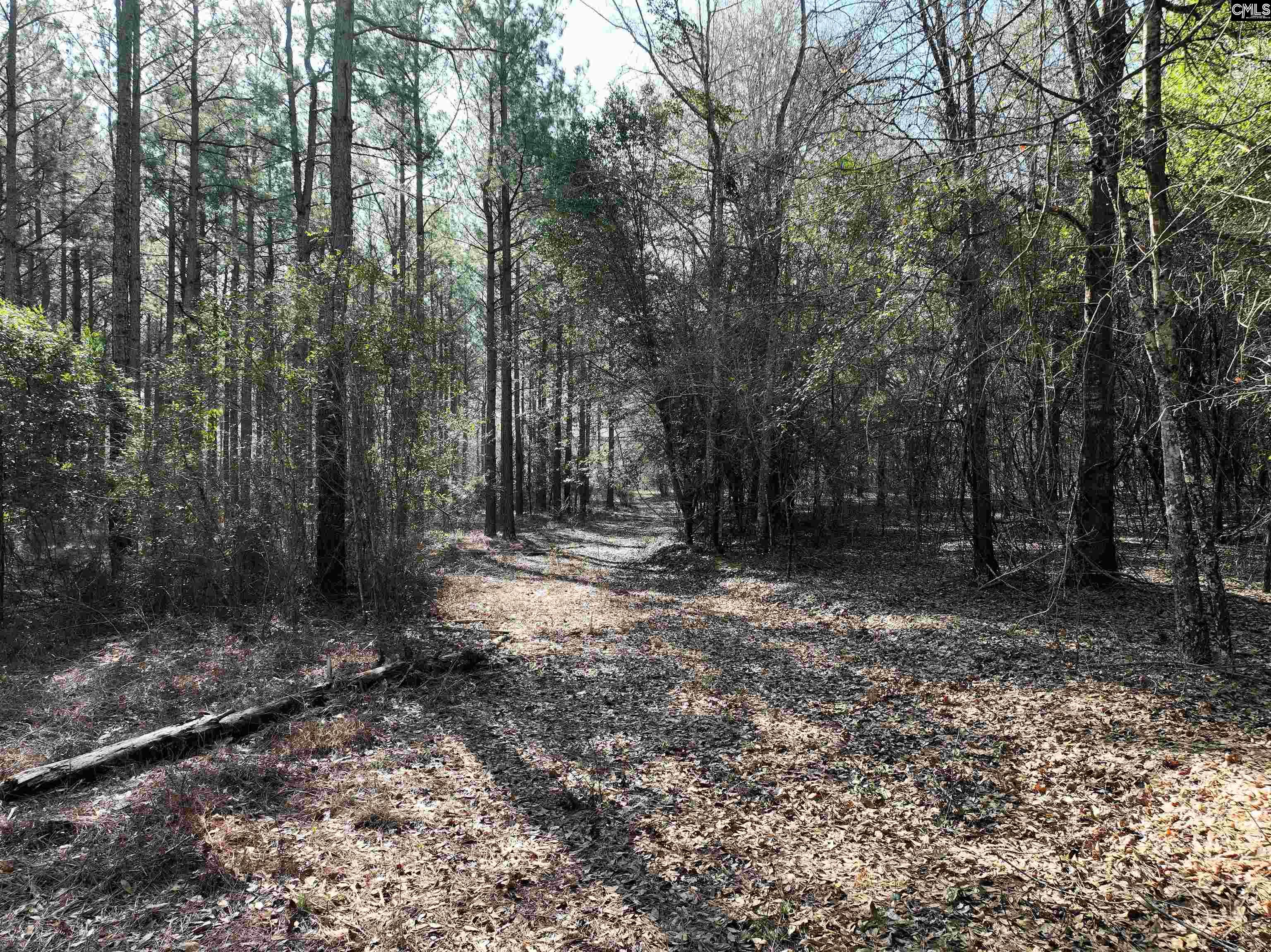 0000 Salley Road Salley, SC 29137