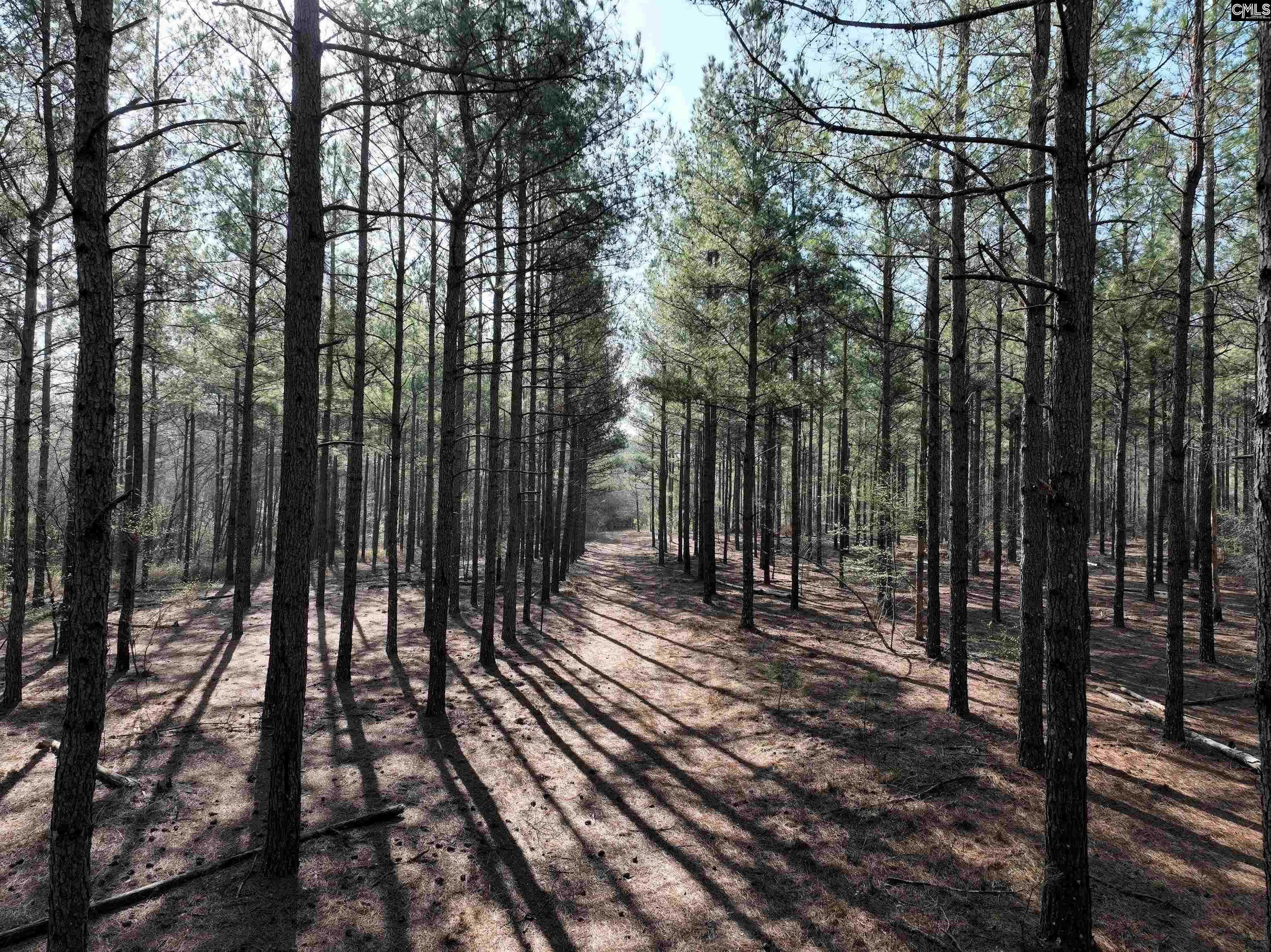 0000 Salley Road Salley, SC 29137