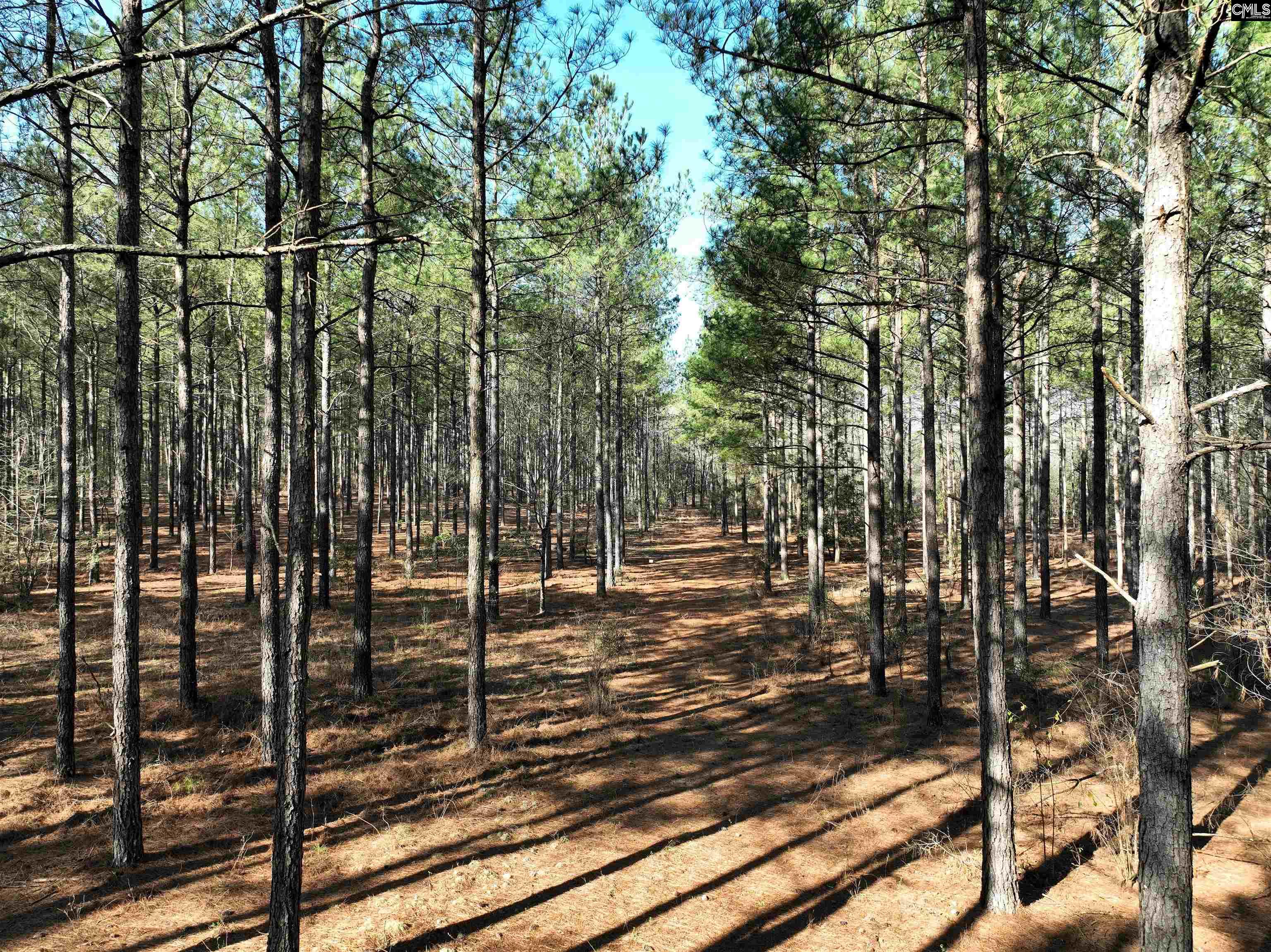 0000 Salley Road Salley, SC 29137