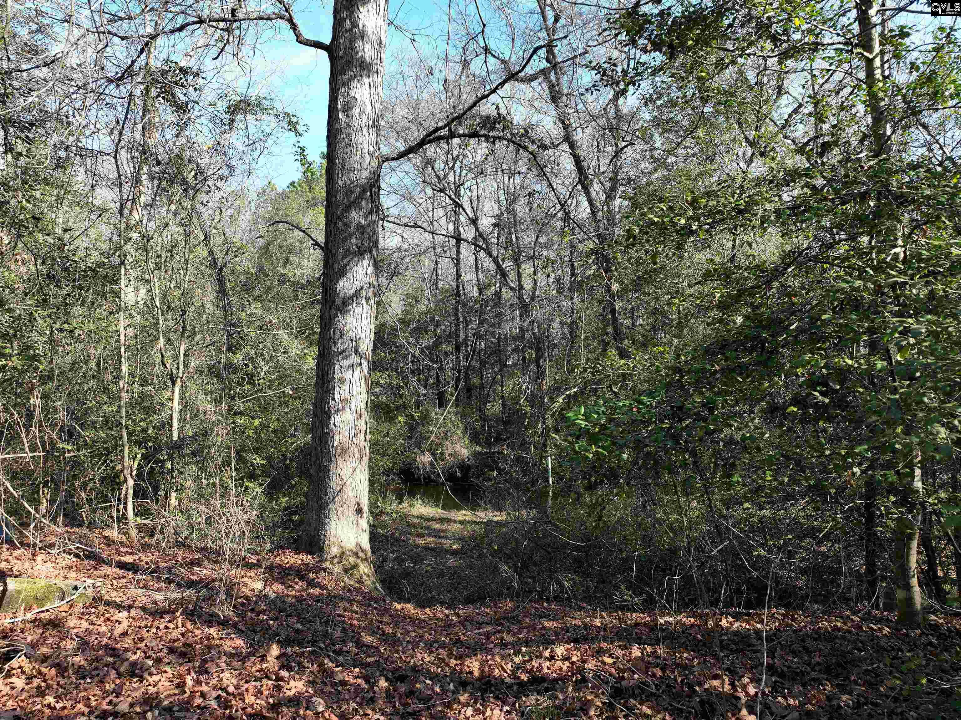 0000 Salley Road Salley, SC 29137