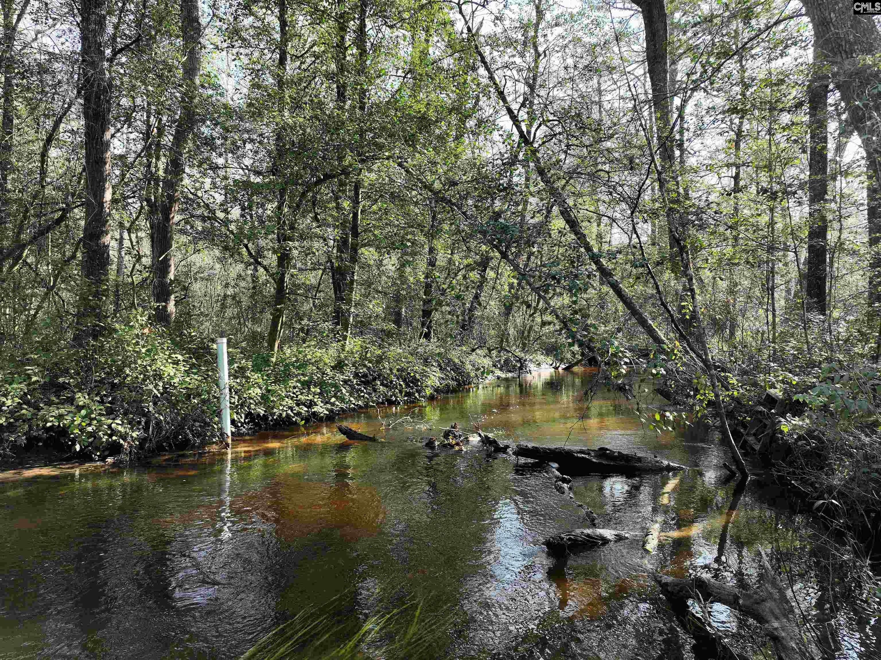0000 Salley Road Salley, SC 29137