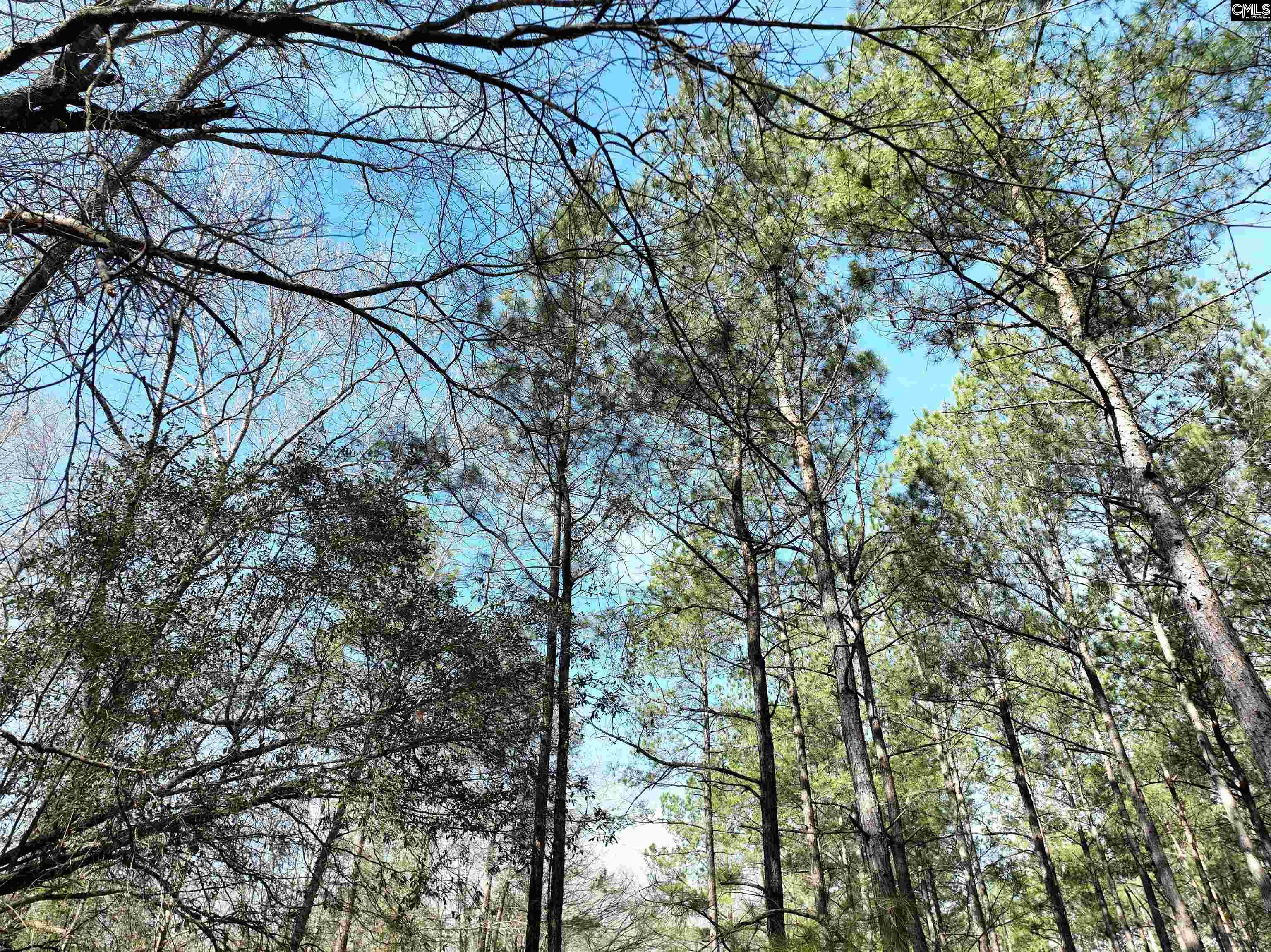 0000 Salley Road Salley, SC 29137