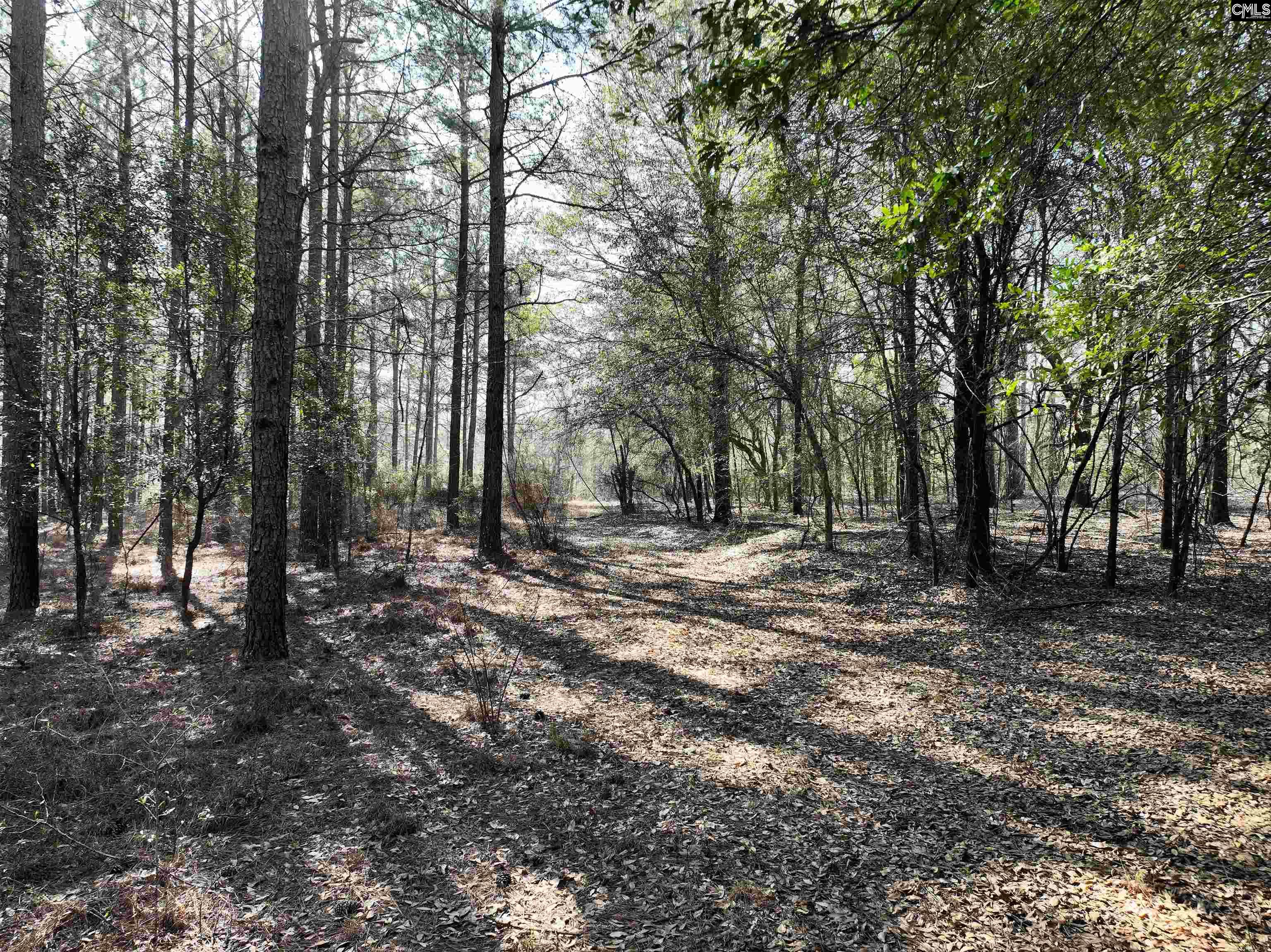 0000 Salley Road Salley, SC 29137