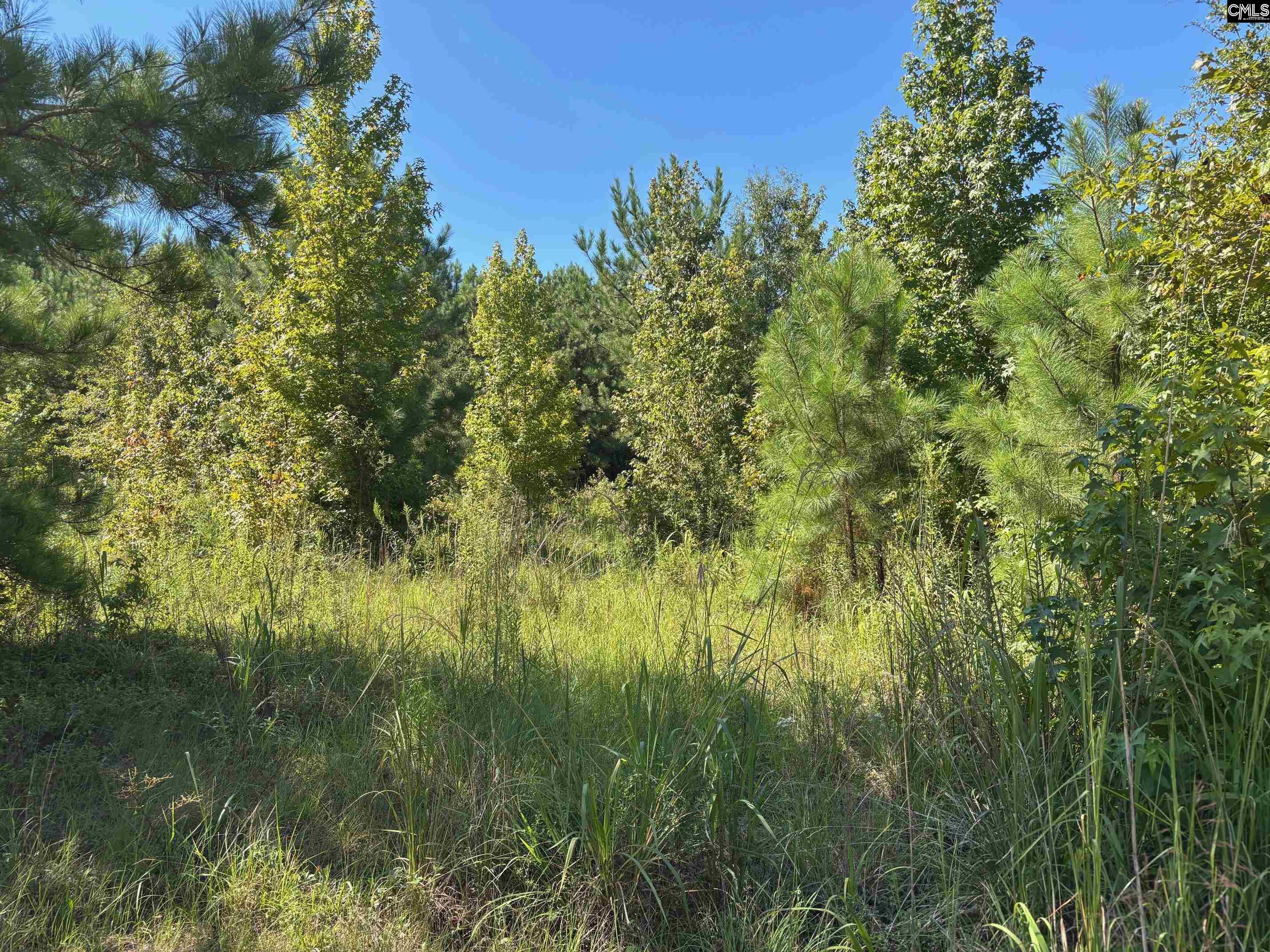 1008 Langford Road UNIT #6 Blythewood, SC 29016-0000