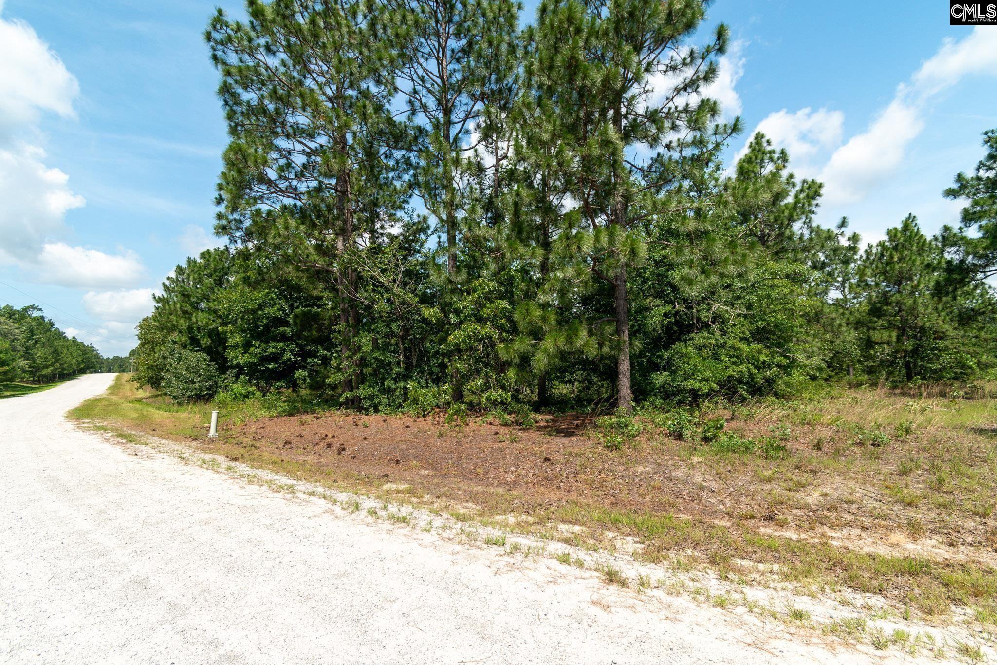 236 Hound Hollow Drive Camden, SC 29020