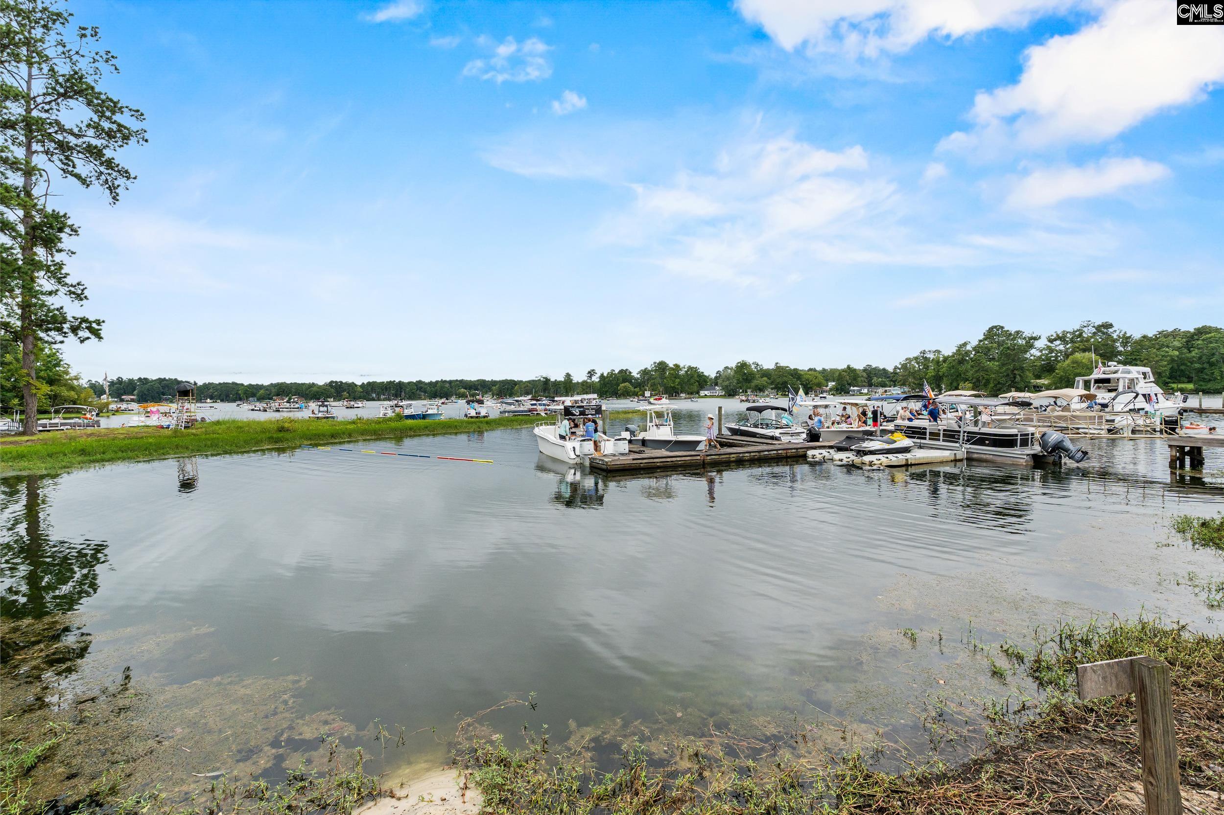 1701 Dreher Island Road Chapin, SC 29036