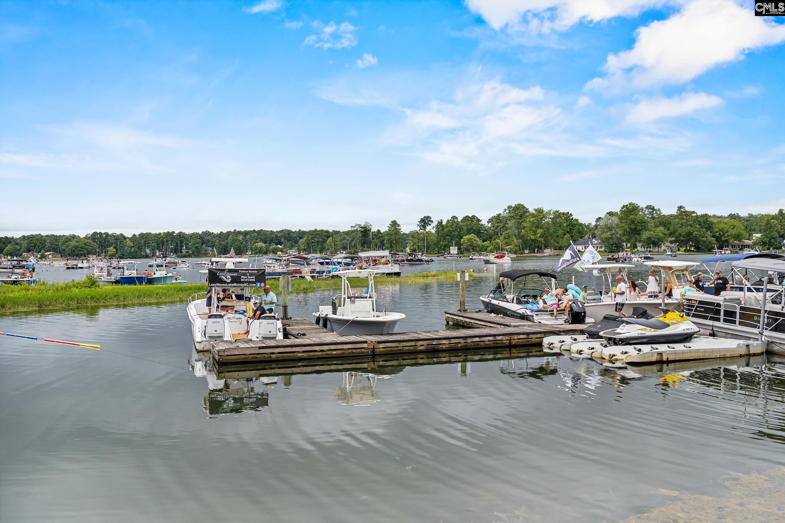 1701 Dreher Island Road Chapin, SC 29036