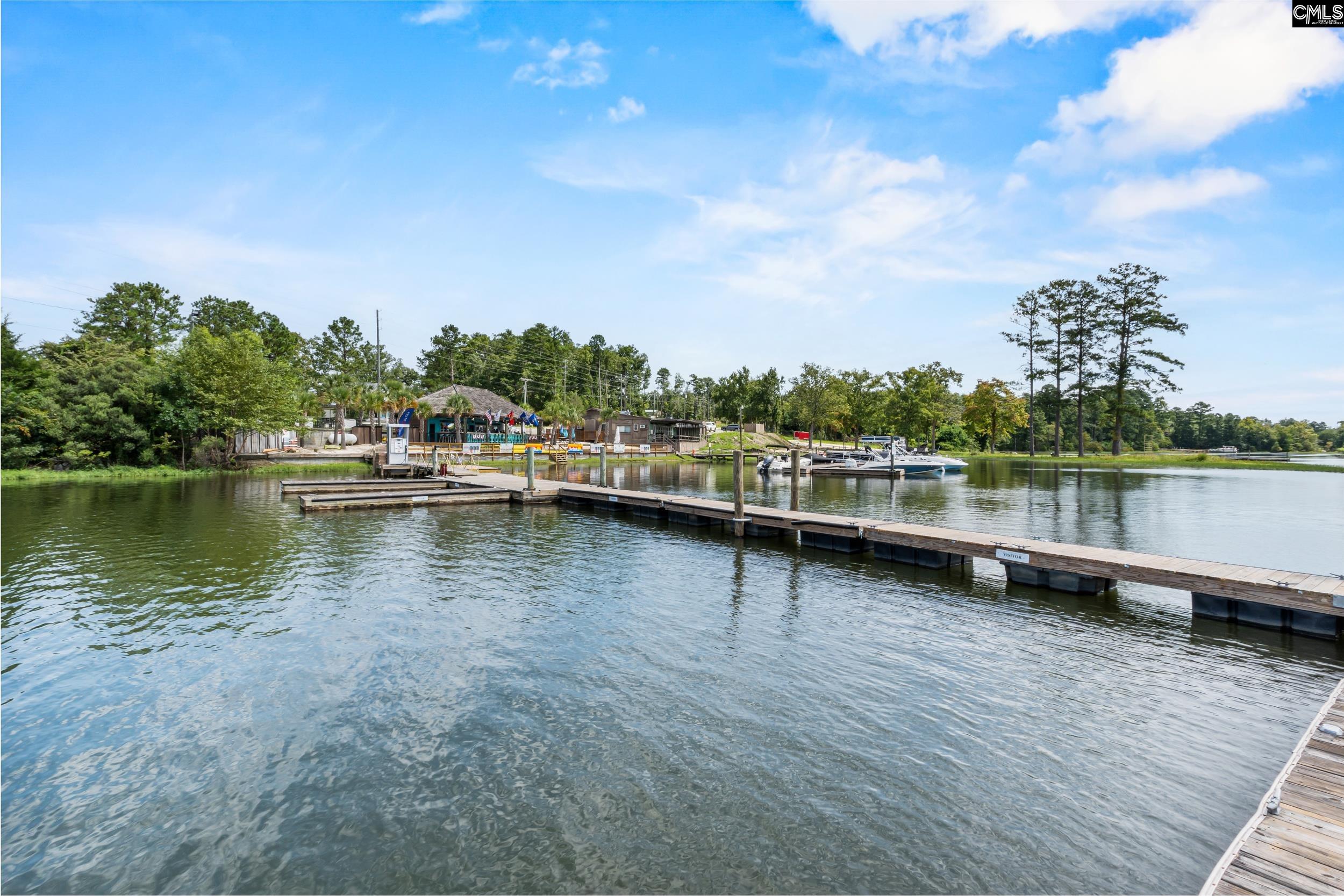 1701 Dreher Island Road Chapin, SC 29036