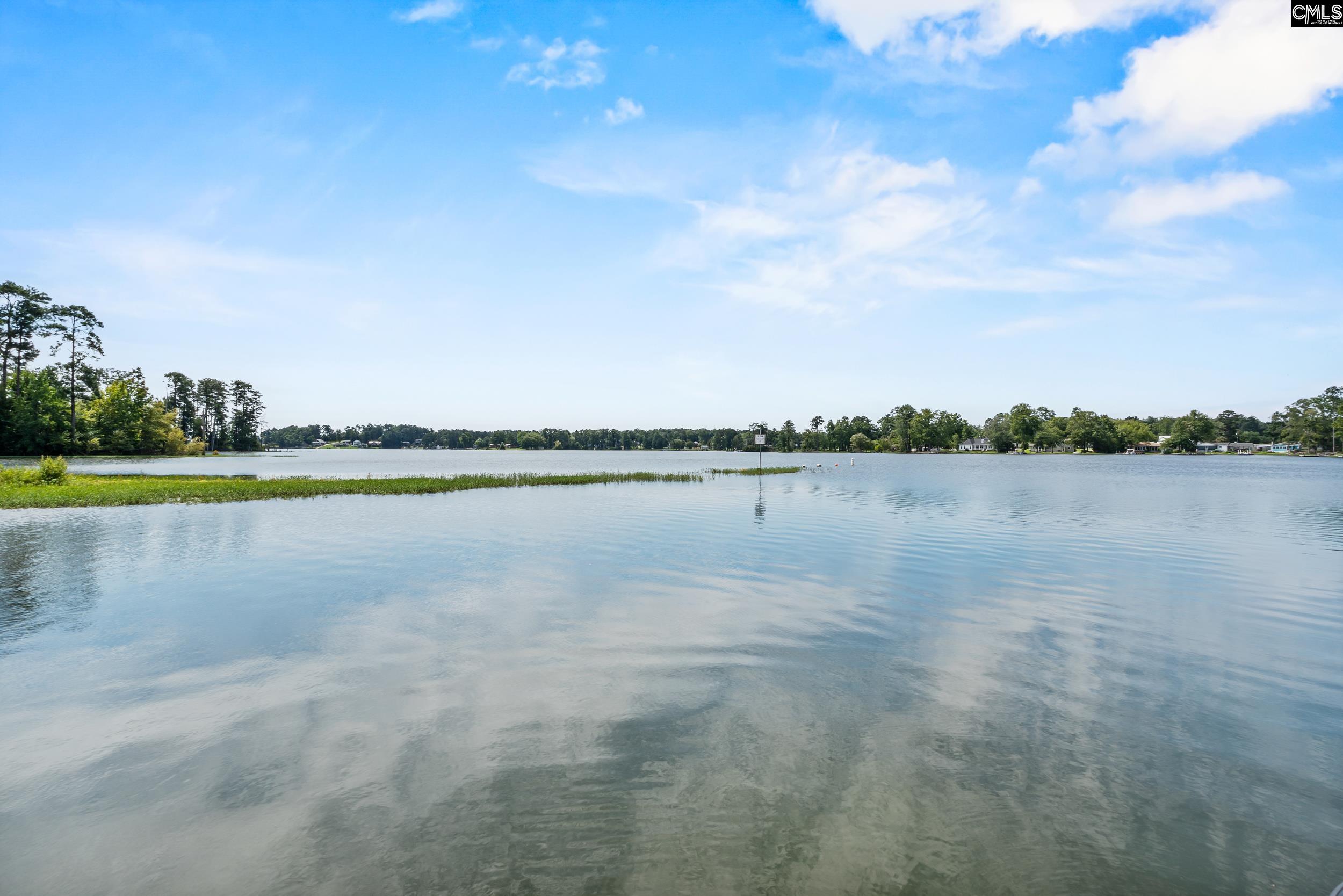 1701 Dreher Island Road Chapin, SC 29036