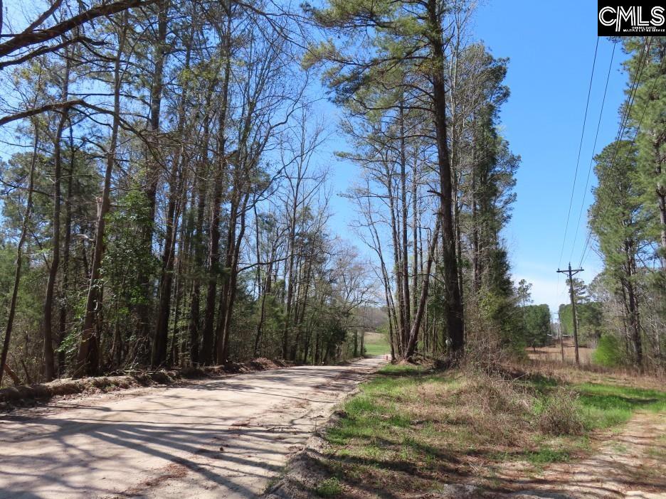1672 Dixired Road Leesville, SC 29070