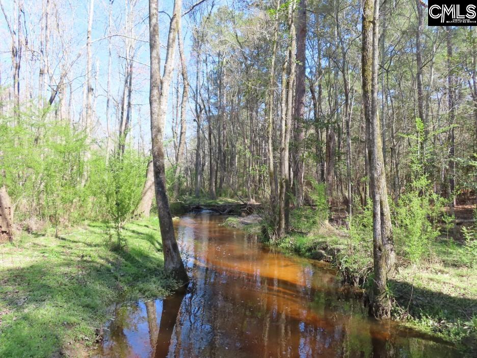 1672 Dixired Road Leesville, SC 29070