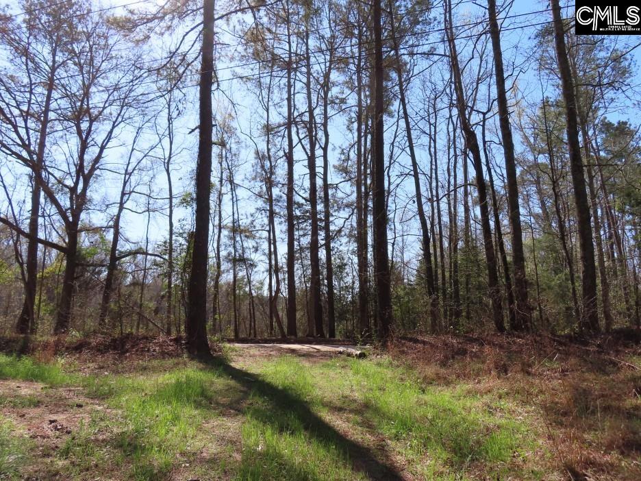 1672 Dixired Road Leesville, SC 29070