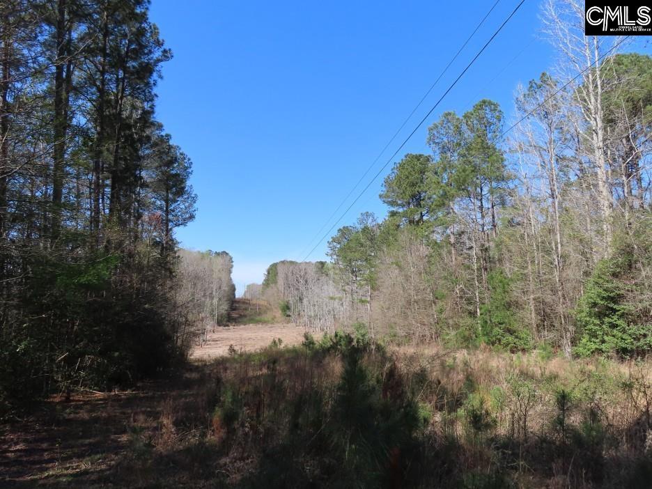 1672 Dixired Road Leesville, SC 29070