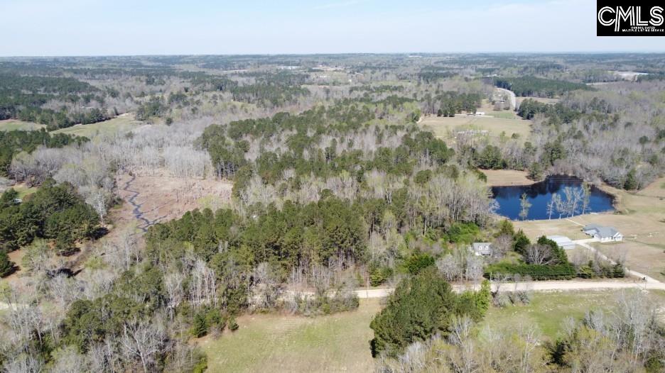 1672 Dixired Road Leesville, SC 29070