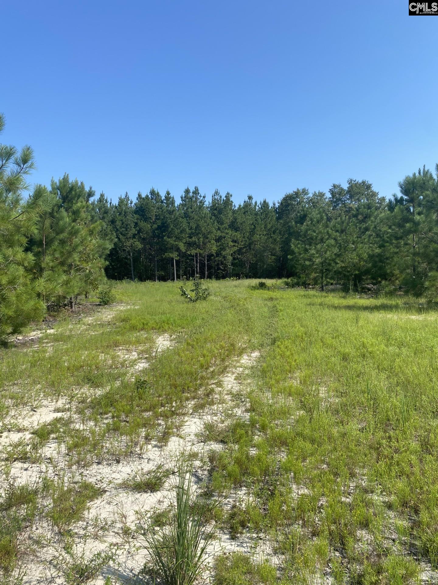 3099 Arcadia Road UNIT #6 Bethune, SC 29009