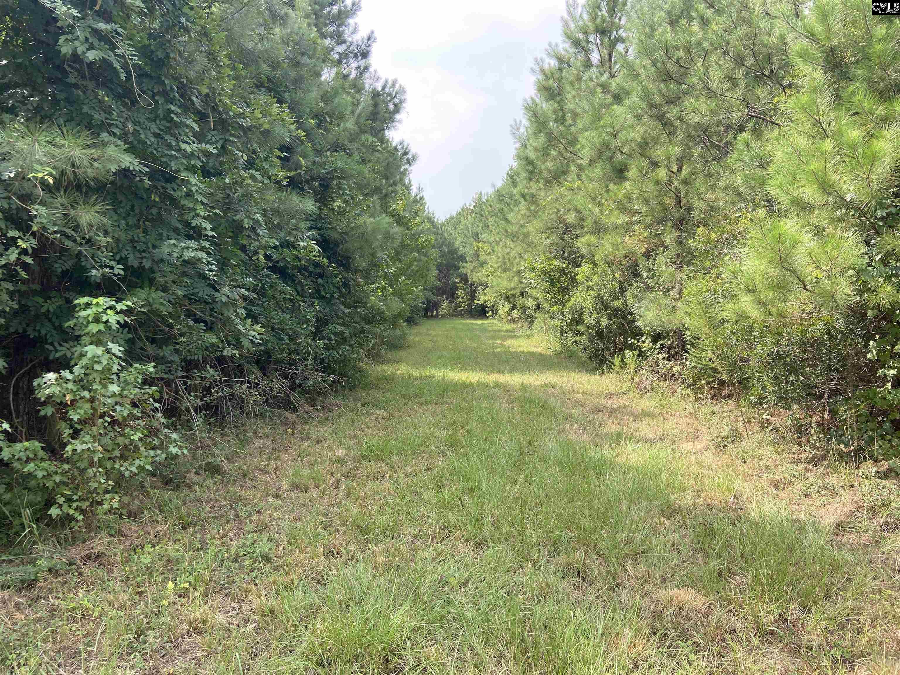 91 Shiver Road Rembert, SC 29128