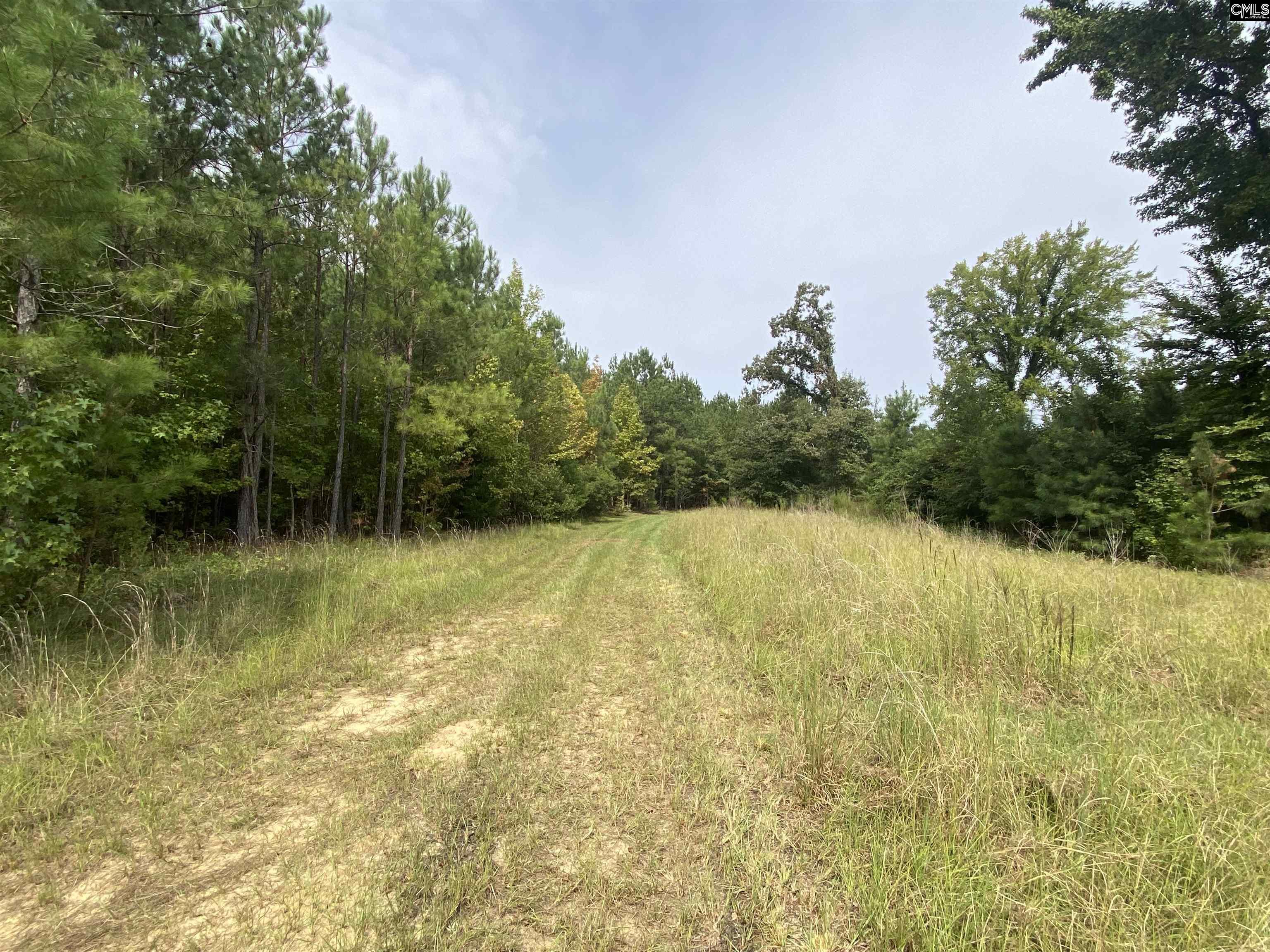 91 Shiver Road Rembert, SC 29128