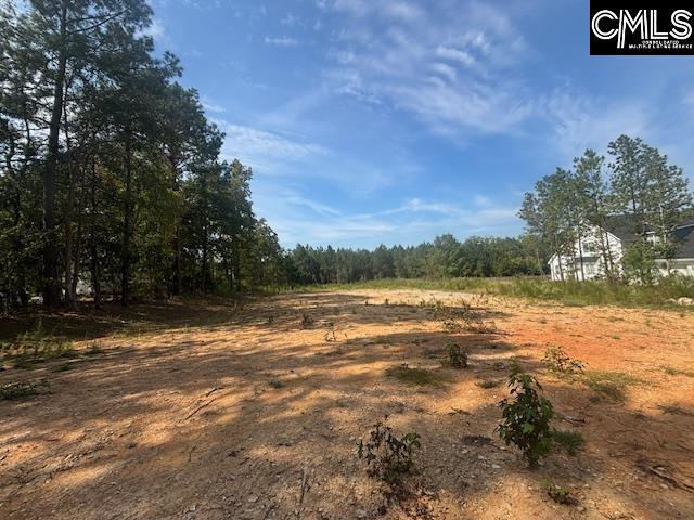 1615 Loner Road UNIT #1 Blythewood, SC 29016