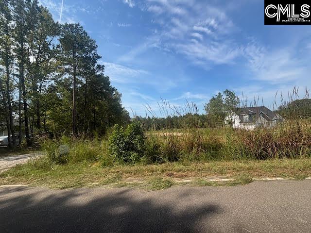 1615 Loner Road UNIT #1 Blythewood, SC 29016