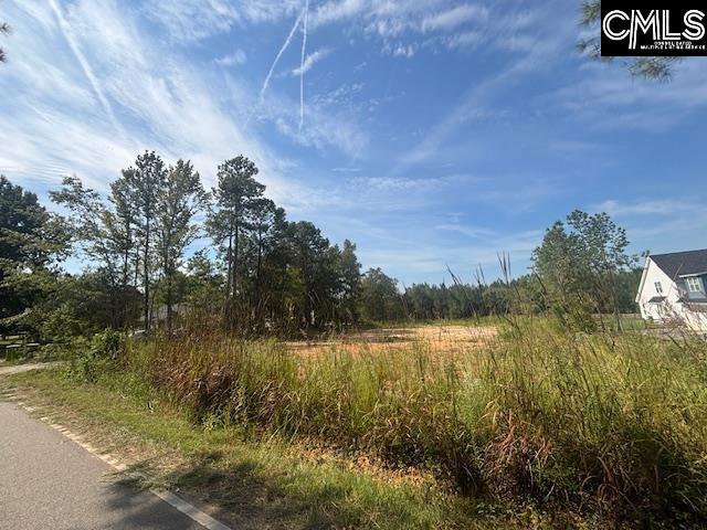 1615 Loner Road UNIT #1 Blythewood, SC 29016