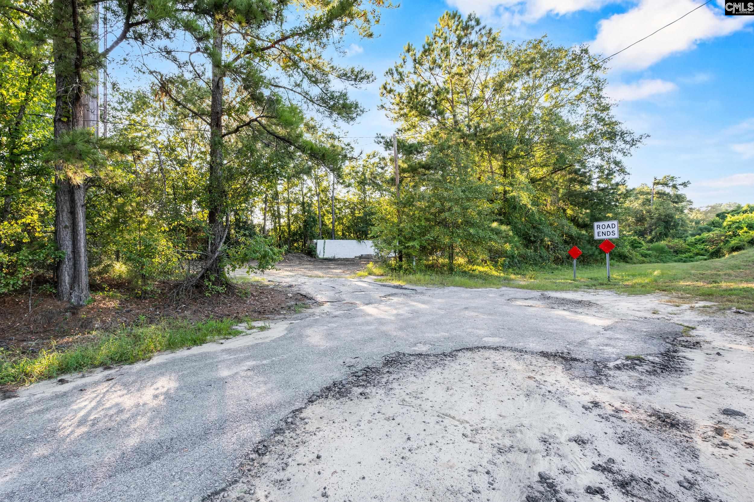 615 Dawn Drive, West Columbia — photo 10