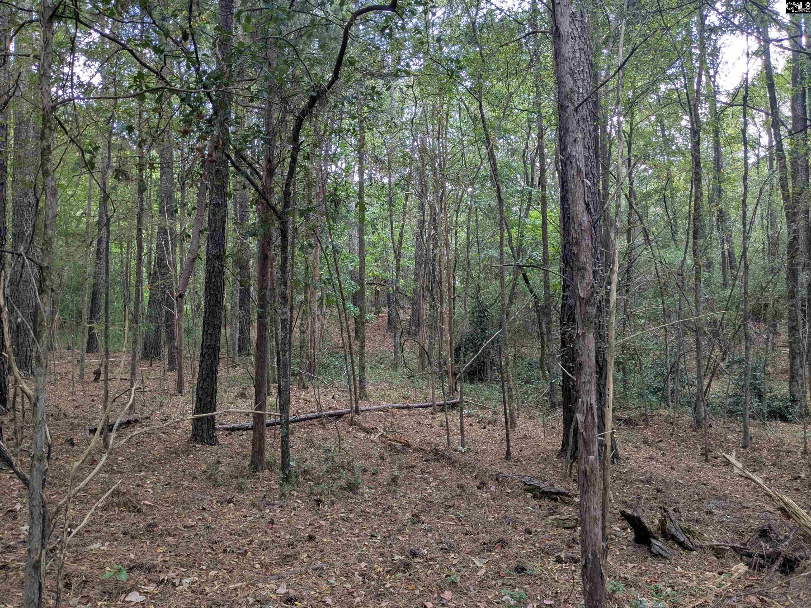 1236 Newberry Road Winnsboro, SC 29180