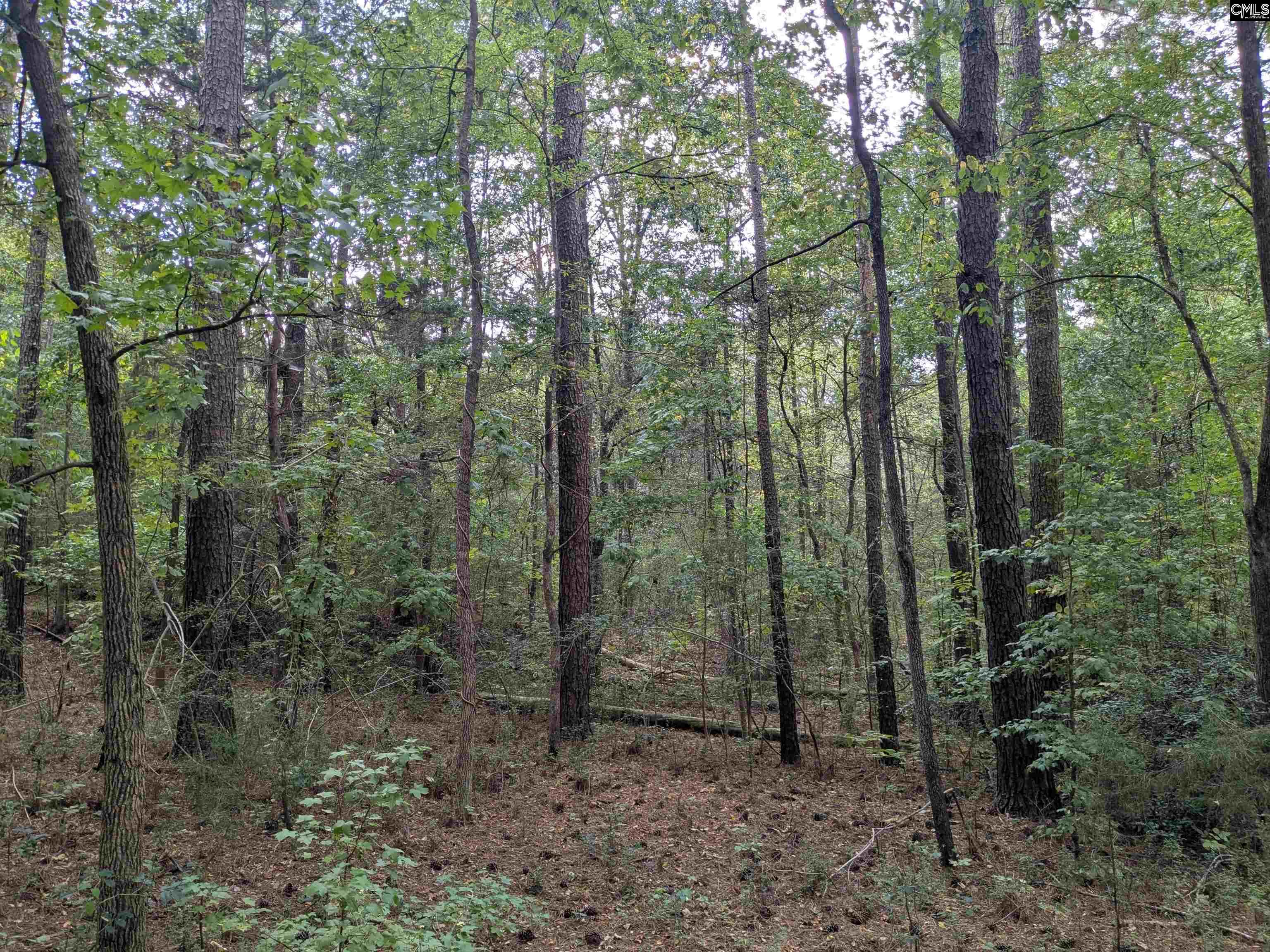 1236 Newberry Road Winnsboro, SC 29180
