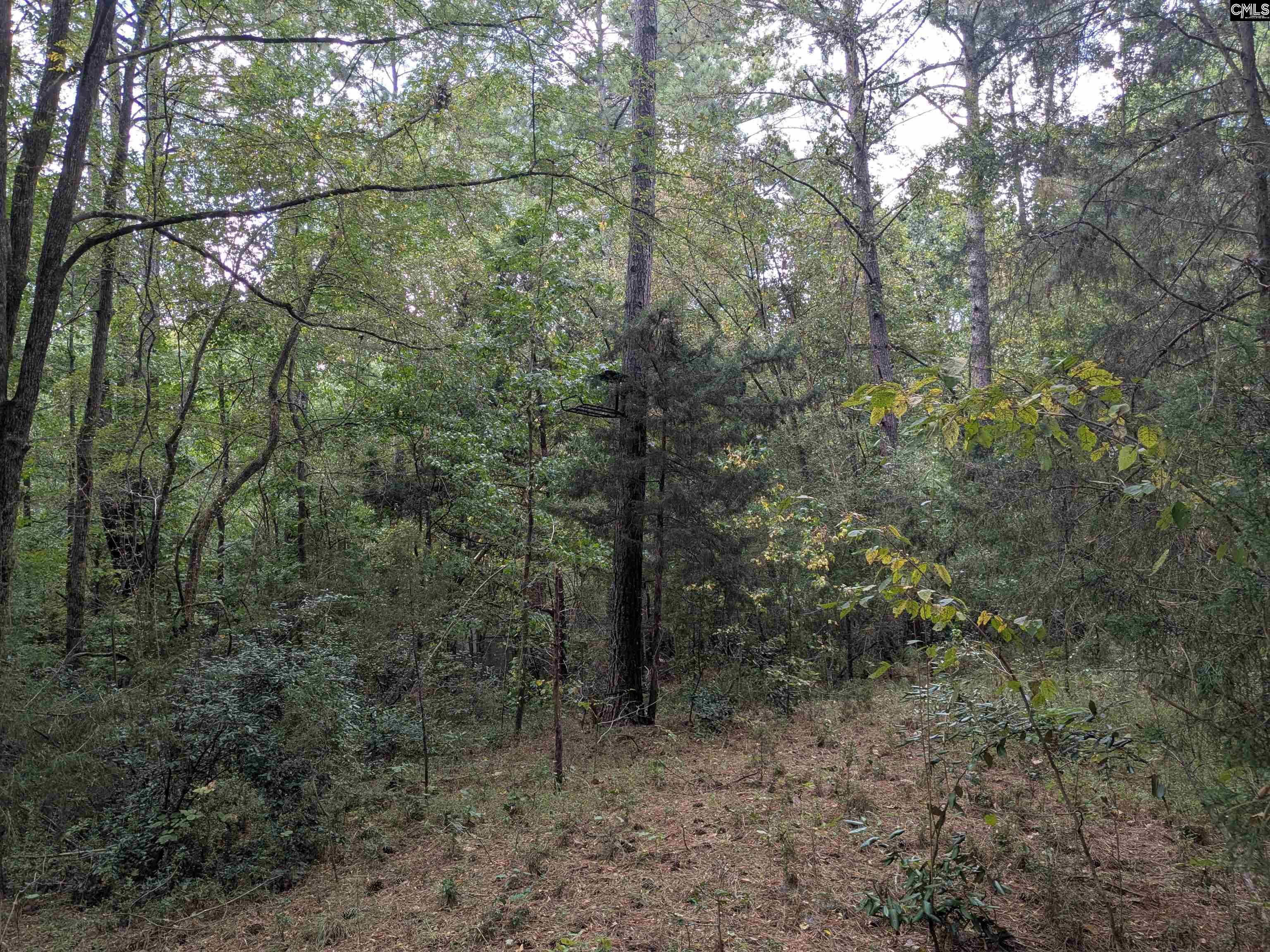 1236 Newberry Road Winnsboro, SC 29180