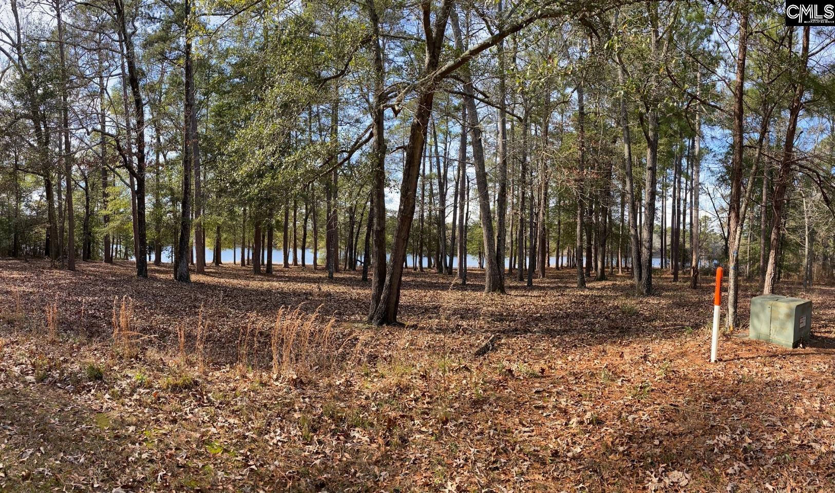 Wexford Mill Drive UNIT Lot 4B Wagener, SC 29164