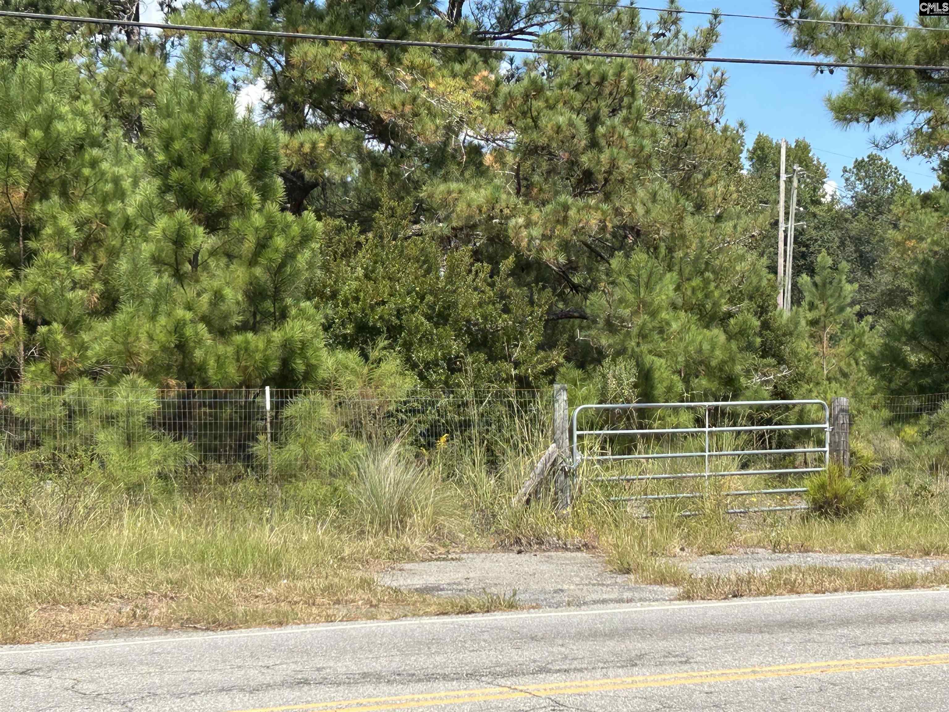 N/S Rabon Road Columbia, SC 29223