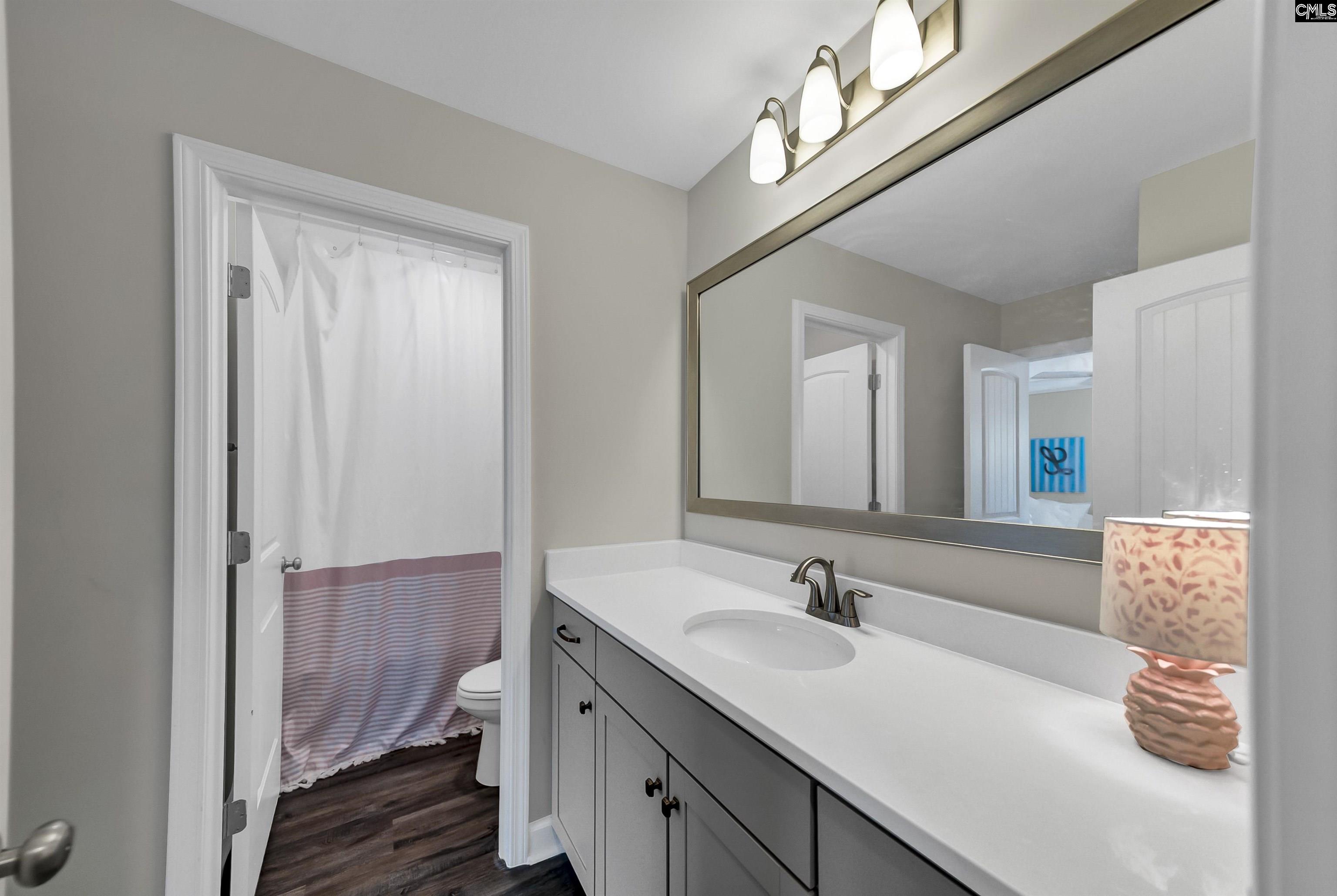 515 Malachite Lane Chapin, SC 29036