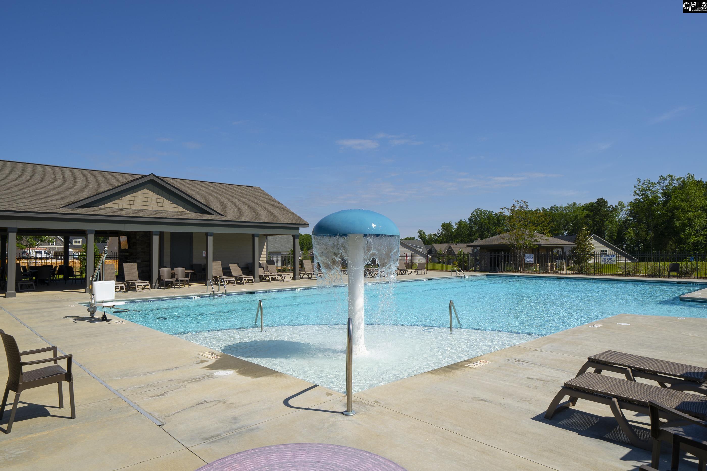 515 Malachite Lane Chapin, SC 29036