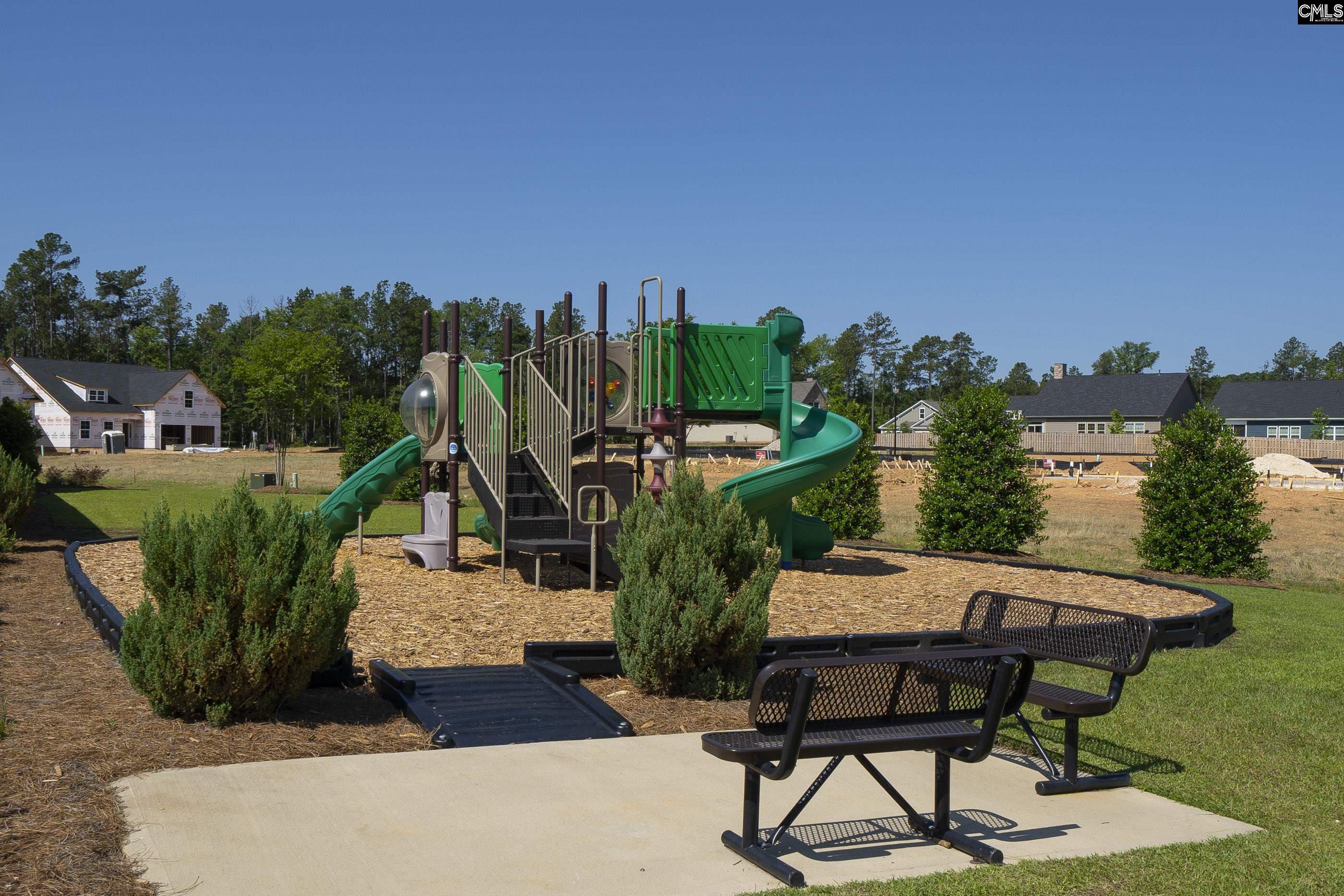 515 Malachite Lane Chapin, SC 29036