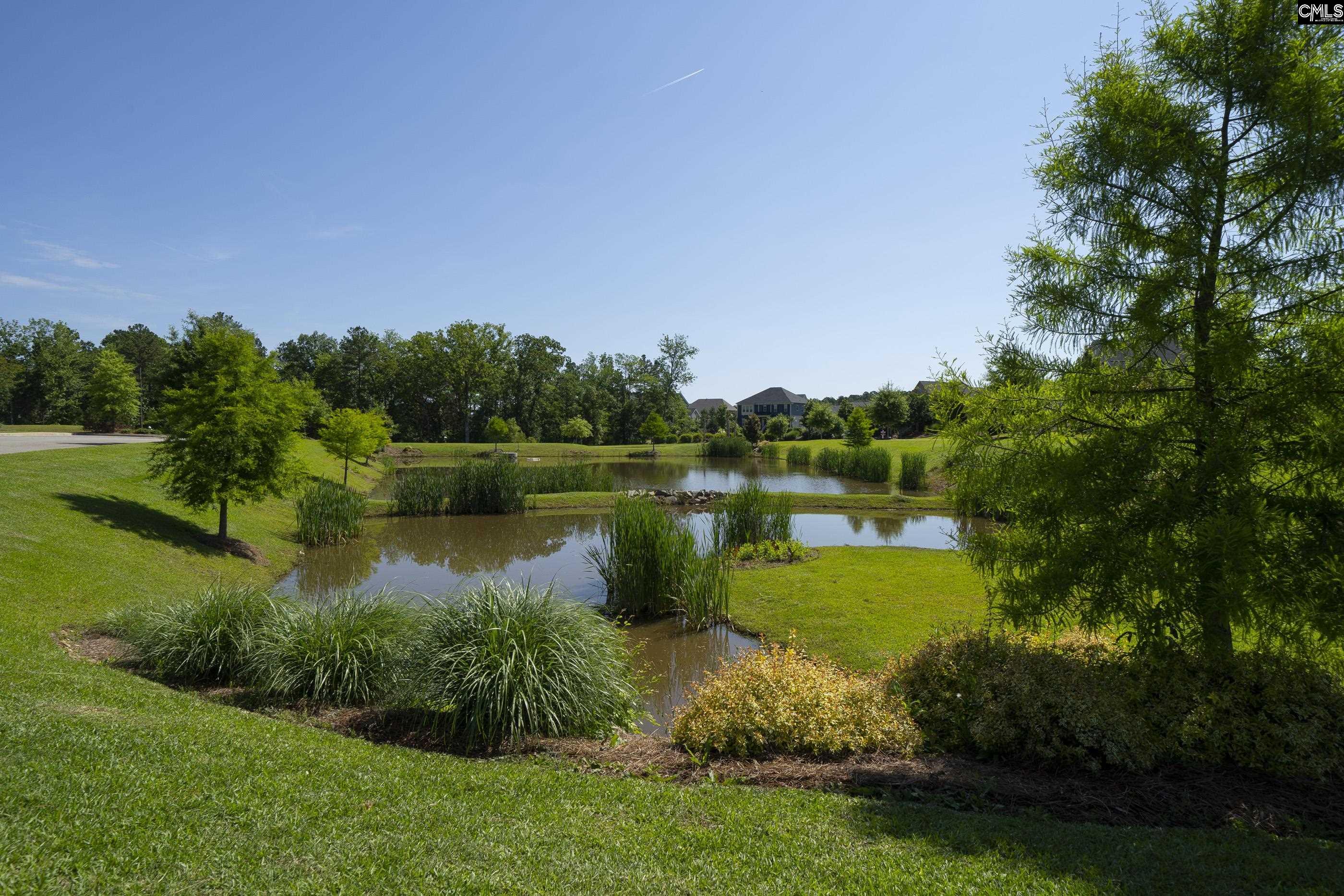 515 Malachite Lane Chapin, SC 29036