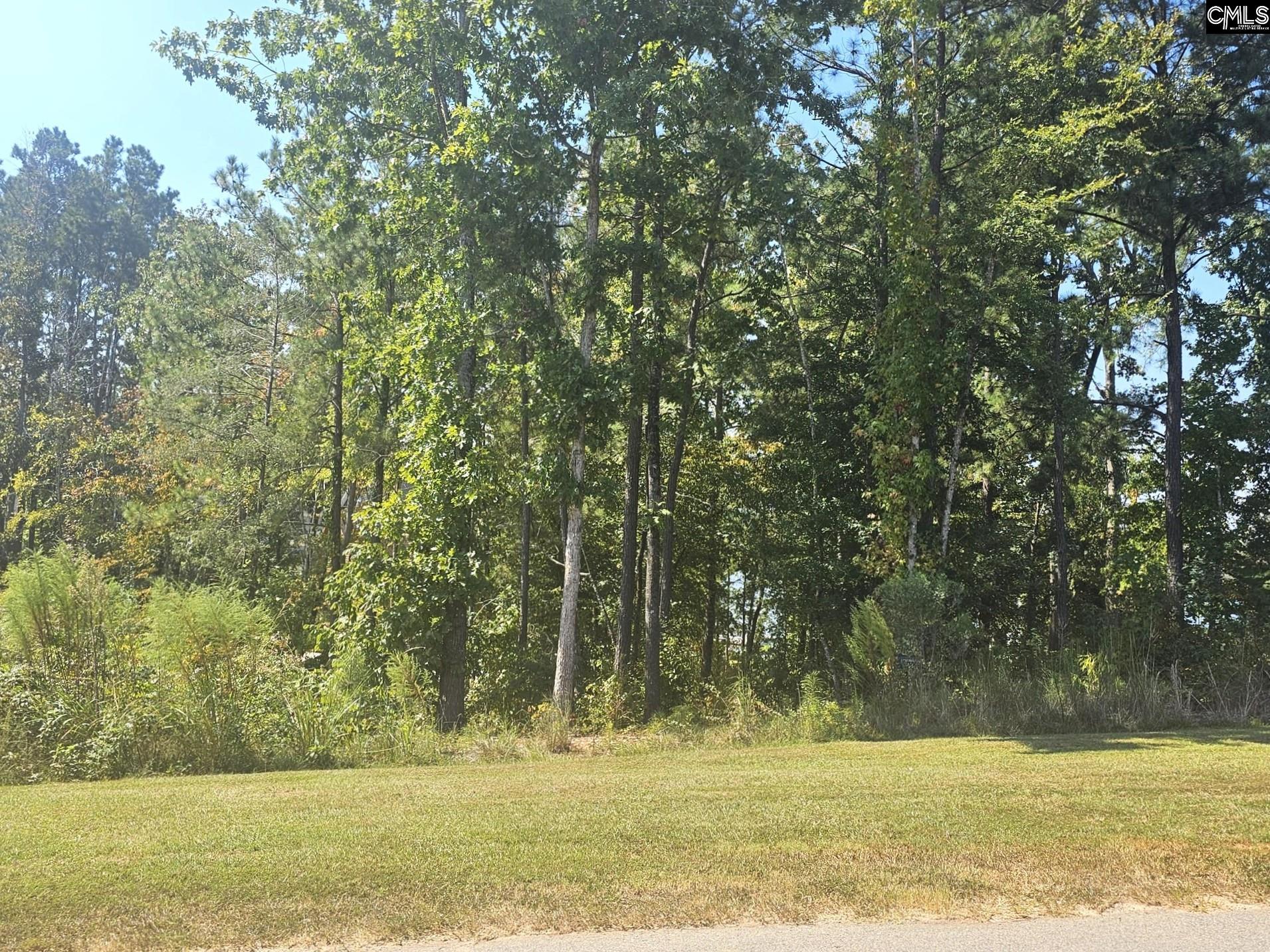 Lot # 30 Longview Drive UNIT #30 Leesville, SC 29070