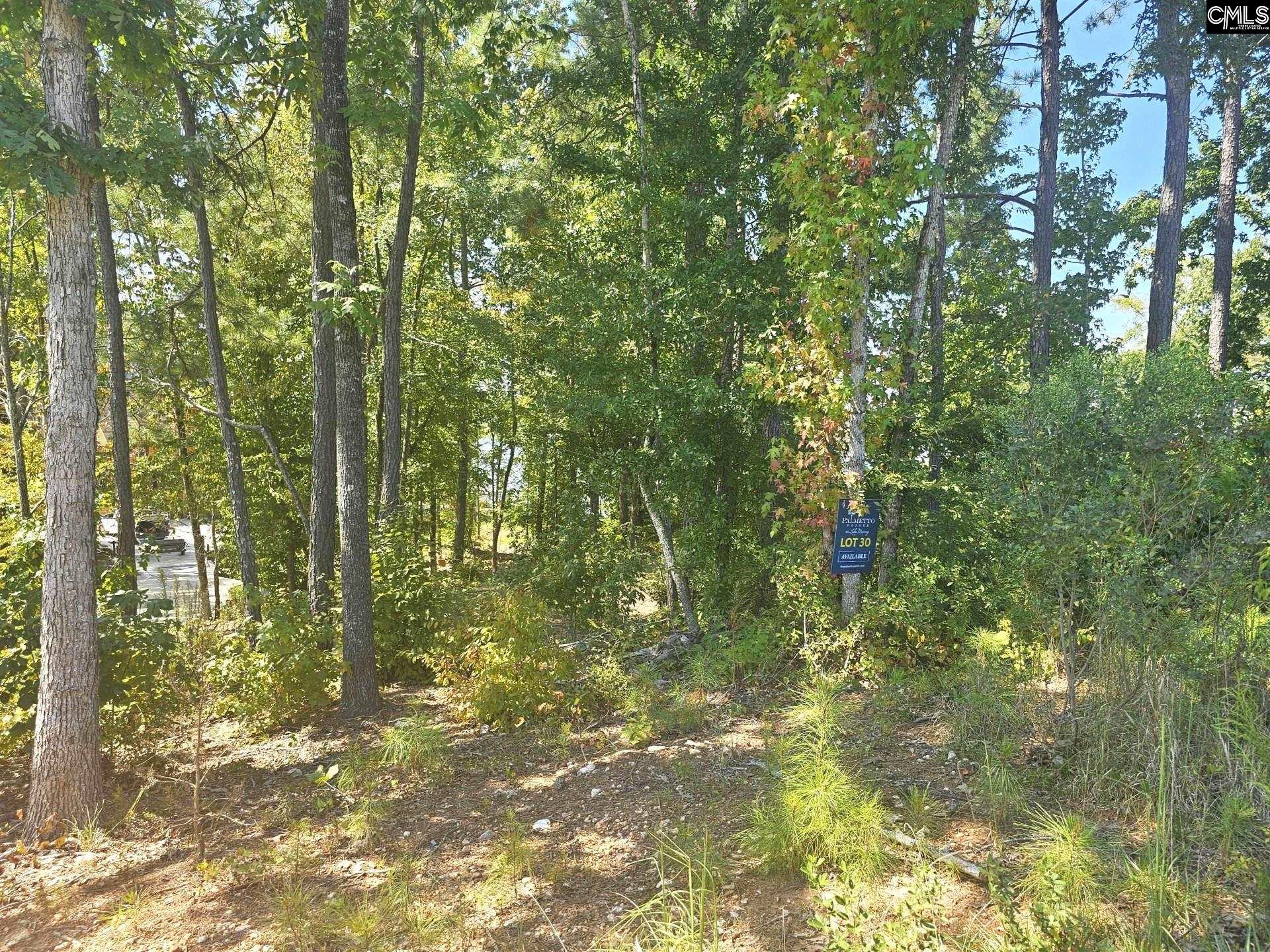 Lot # 30 Longview Drive UNIT #30 Leesville, SC 29070