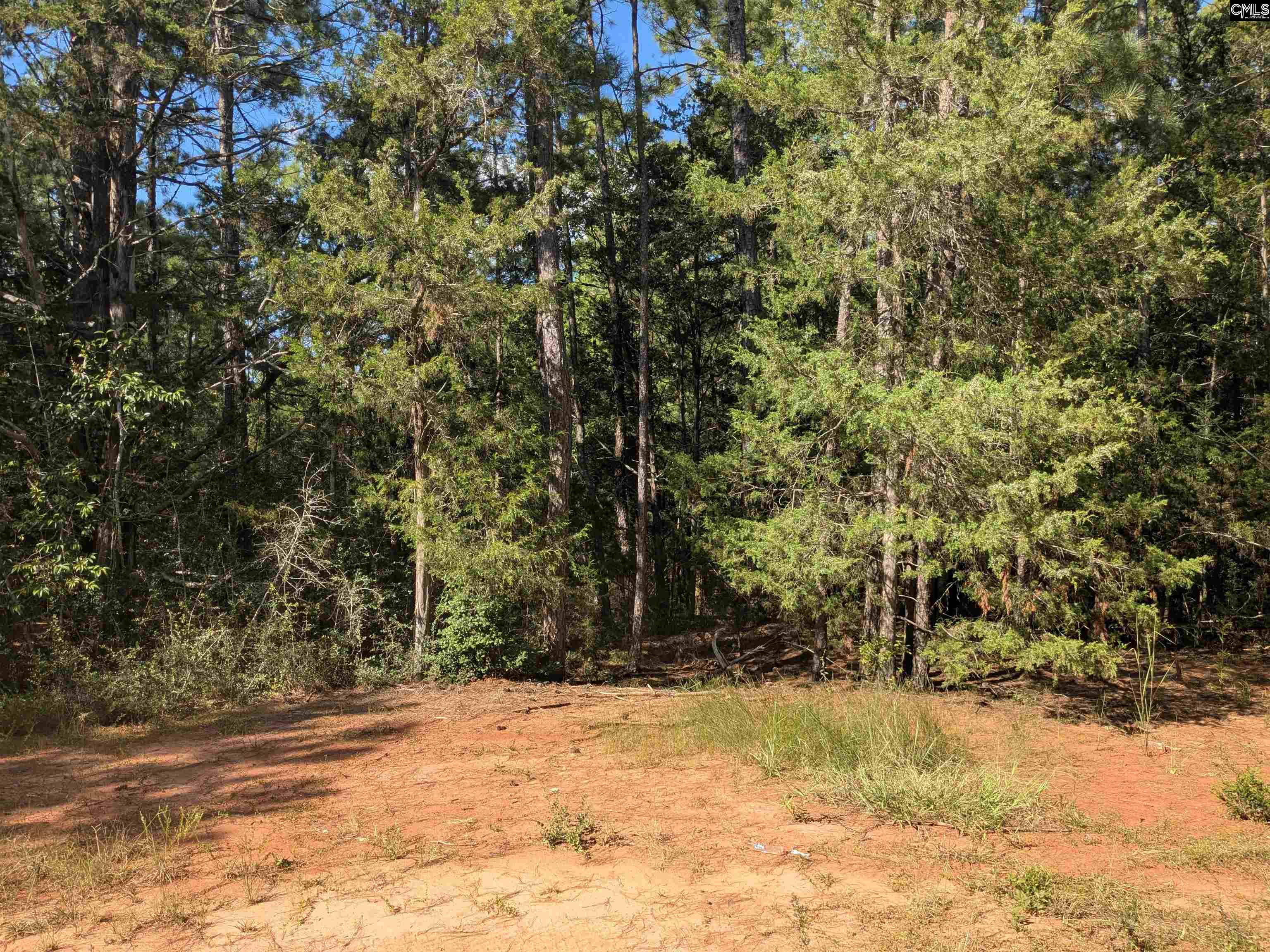 Lakeview Drive Jenkinsville, SC 29065