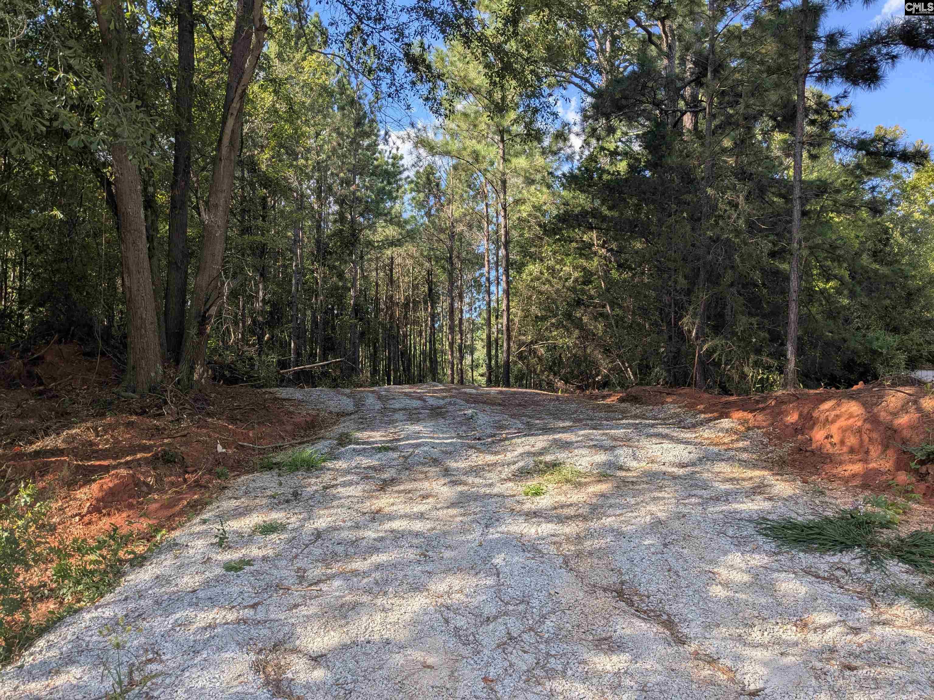 Lakeview Drive Jenkinsville, SC 29065