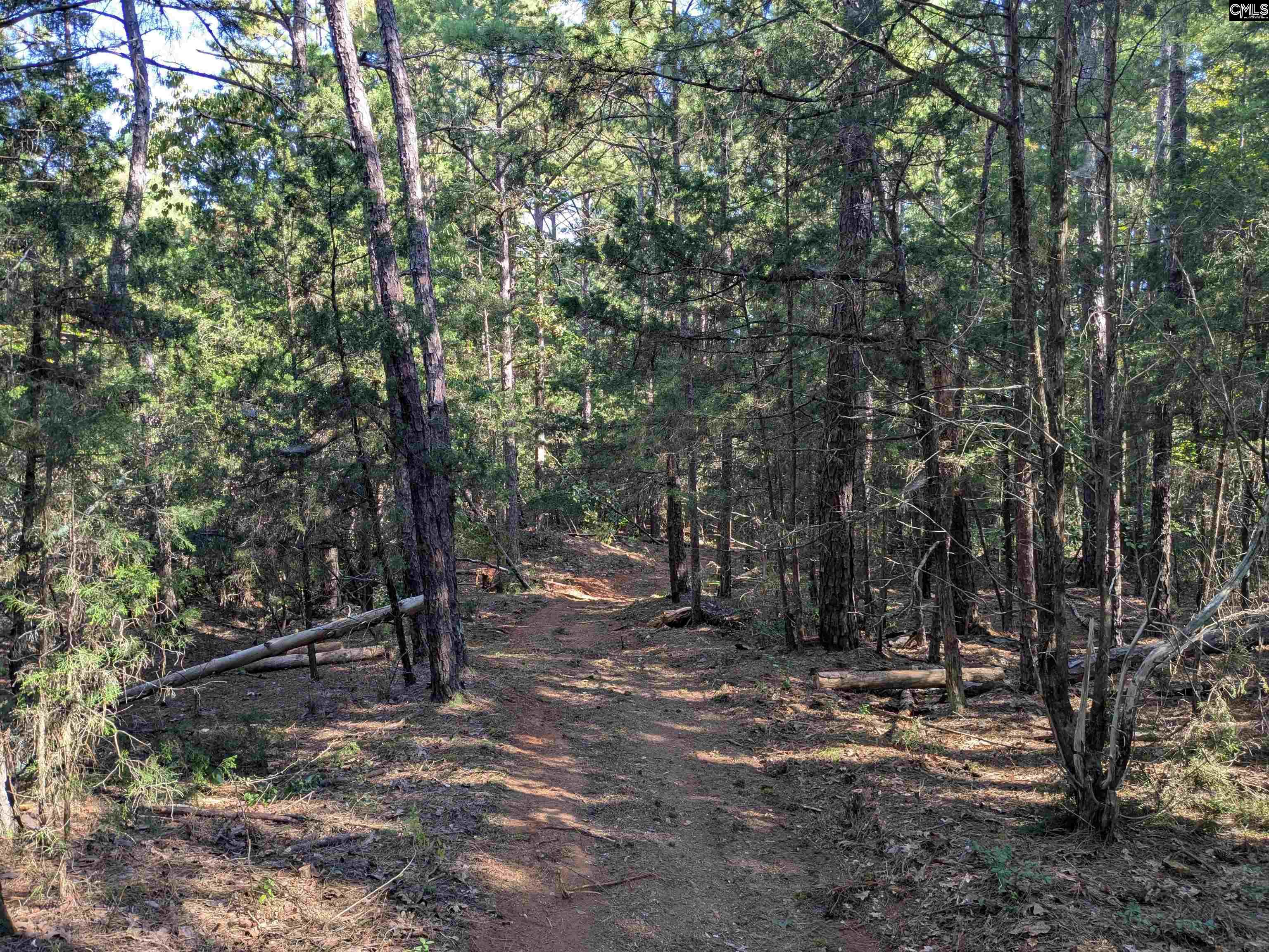 Lakeview Drive Jenkinsville, SC 29065